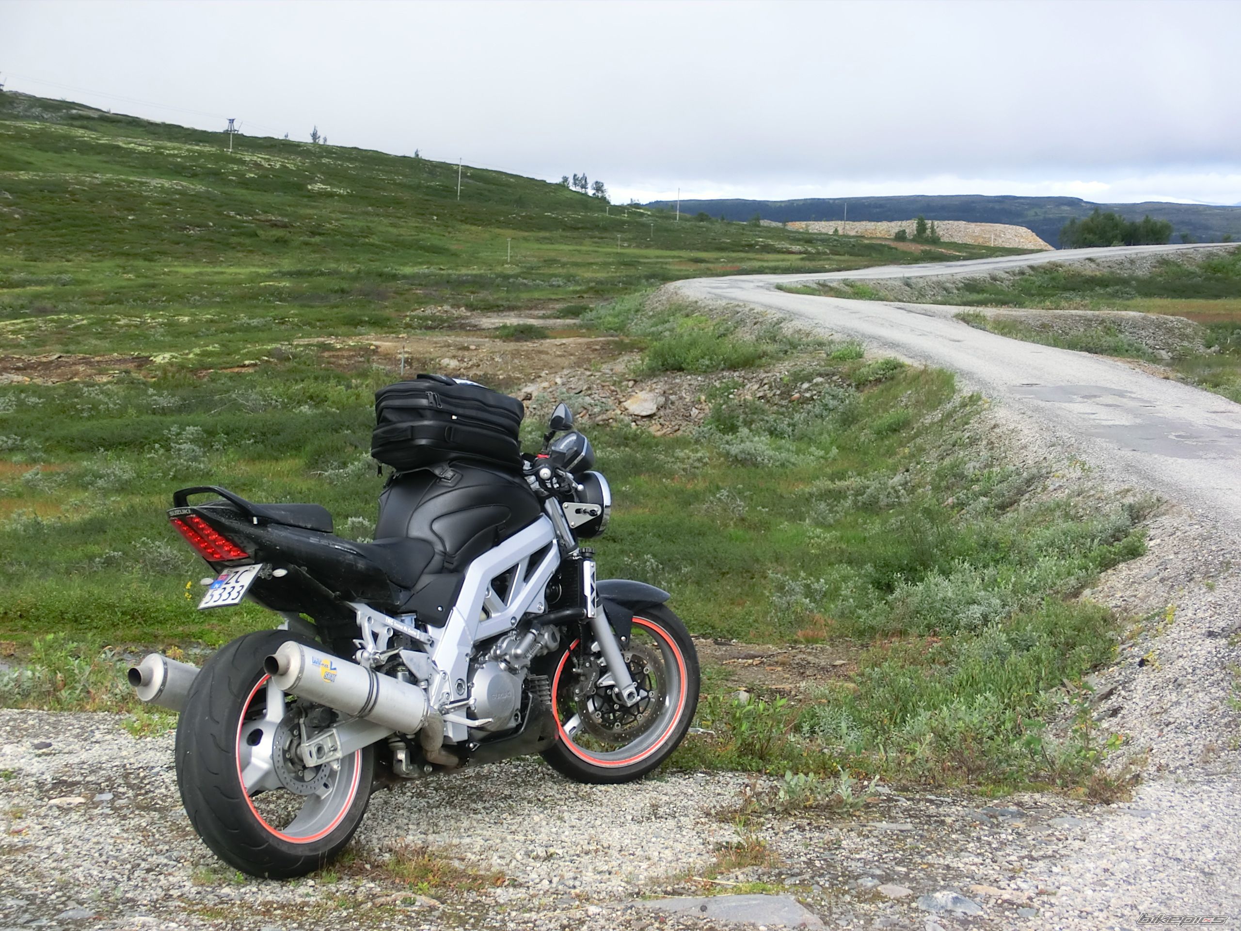 2003 SUZUKI SV 1000 | Picture 2253566 motorcycle photo