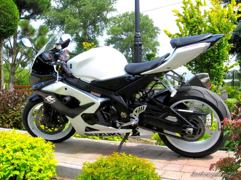2005 SUZUKI GSX R 1000 | Picture 2253631 motorcycle photo