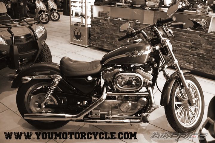 2003 HARLEY DAVIDSON XLH 883 HUGGER | Picture 2253832 motorcycle photo