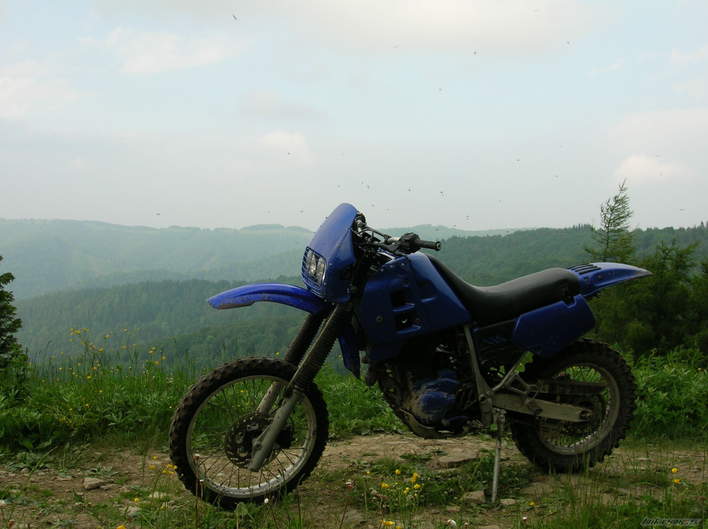 1993 GILERA GILERA RC 600 | Picture 2254101 motorcycle photo