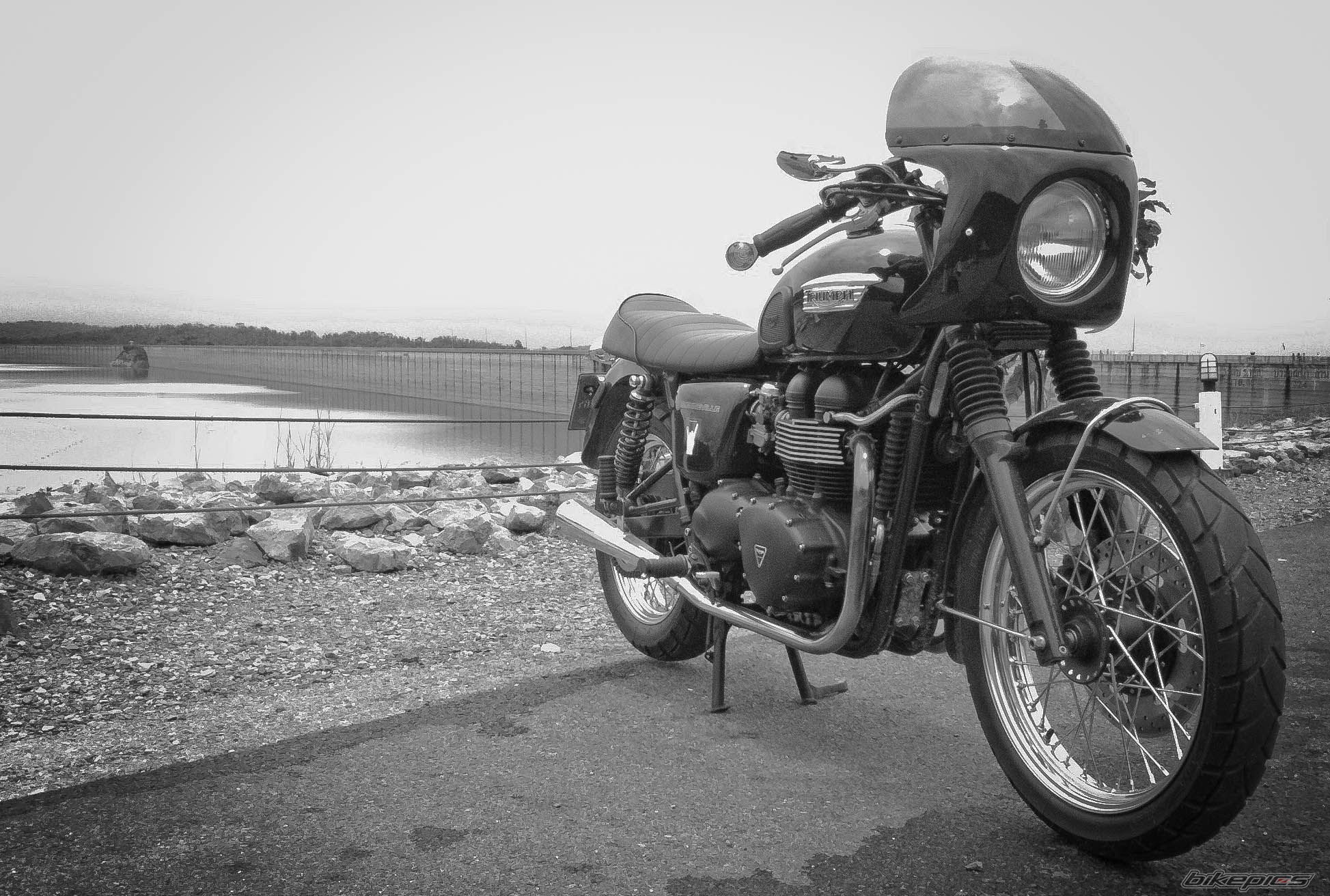 2008 TRIUMPH BONNEVILLE | Picture 2254932 motorcycle photo