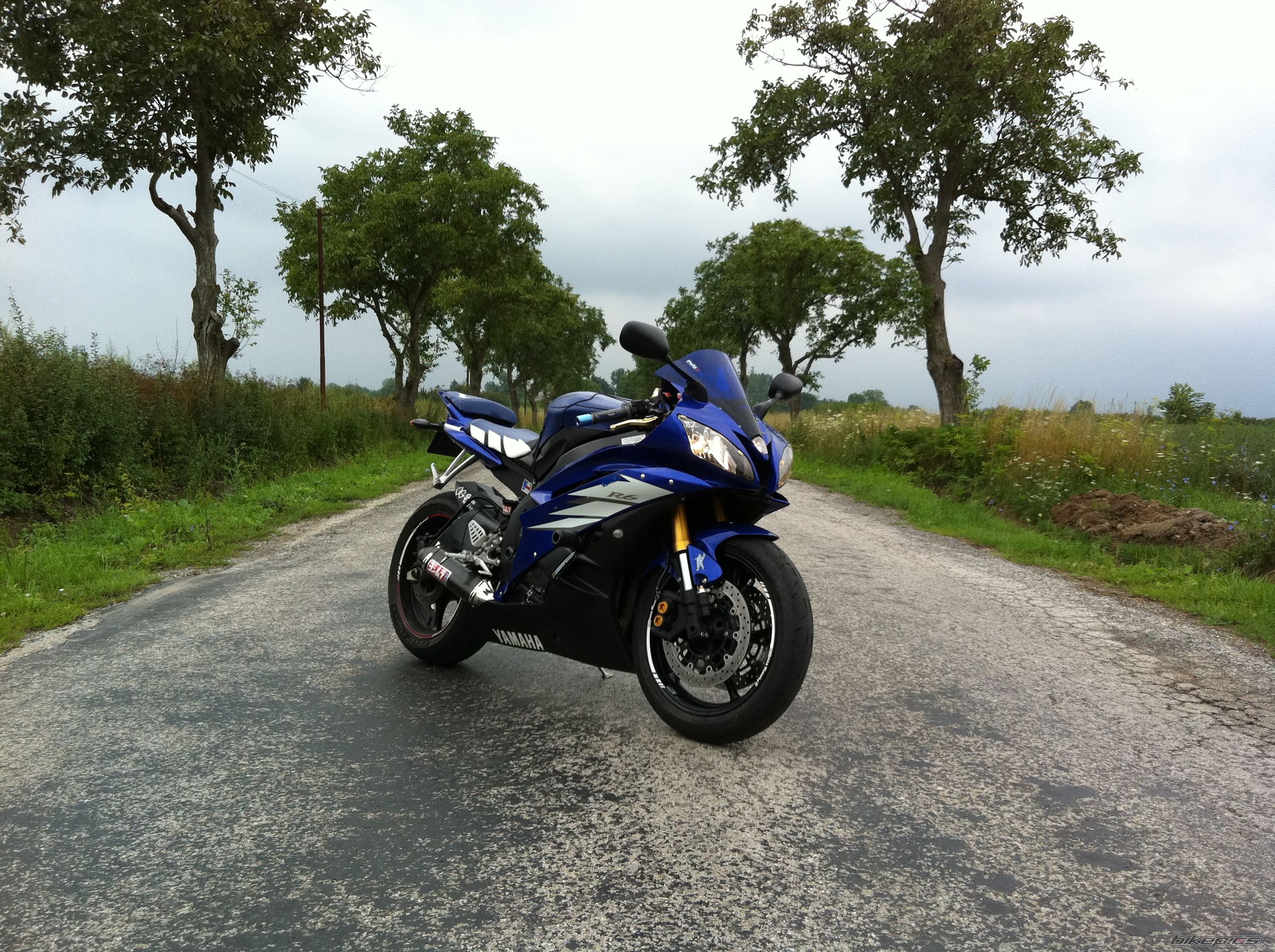 2006 YAMAHA YZF R6 | Picture 2255913 motorcycle photo