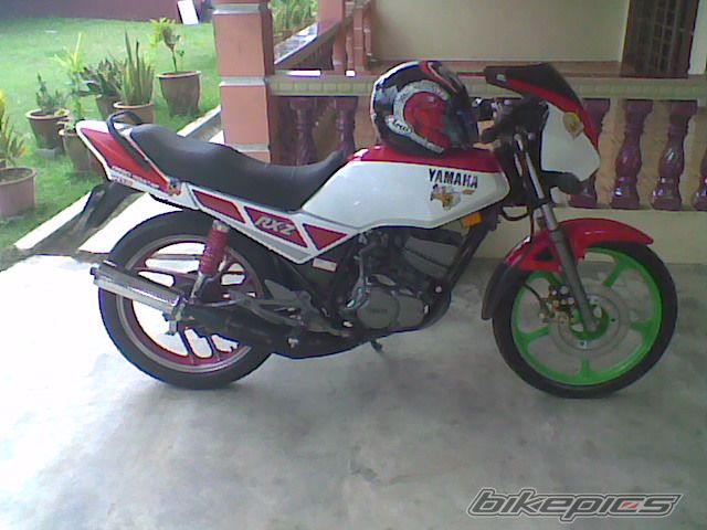 1994 YAMAHA RXZ 135 | Picture 2256365 motorcycle photo