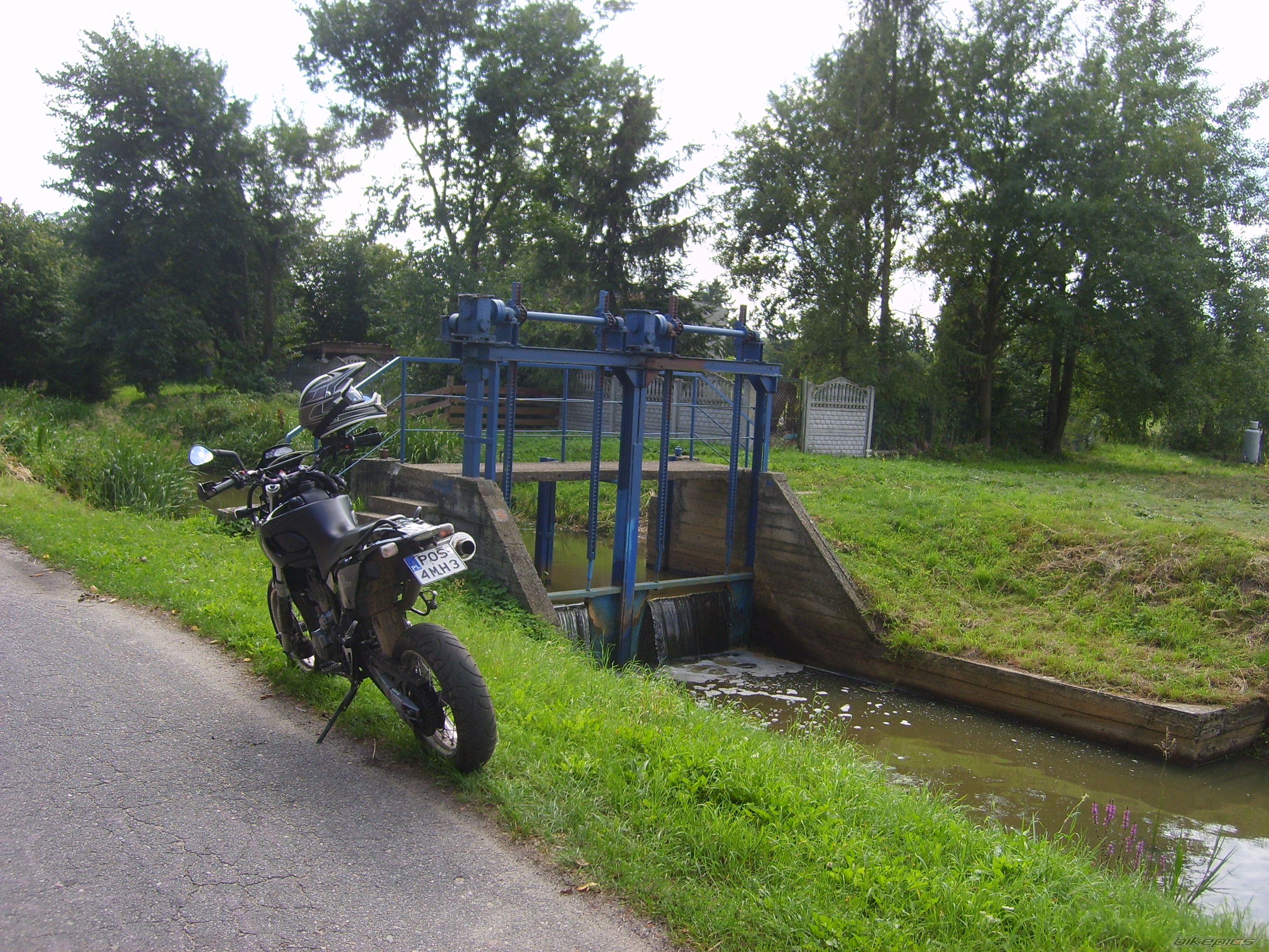 2001 MZ BAGHIRA | Picture 2257086 motorcycle photo