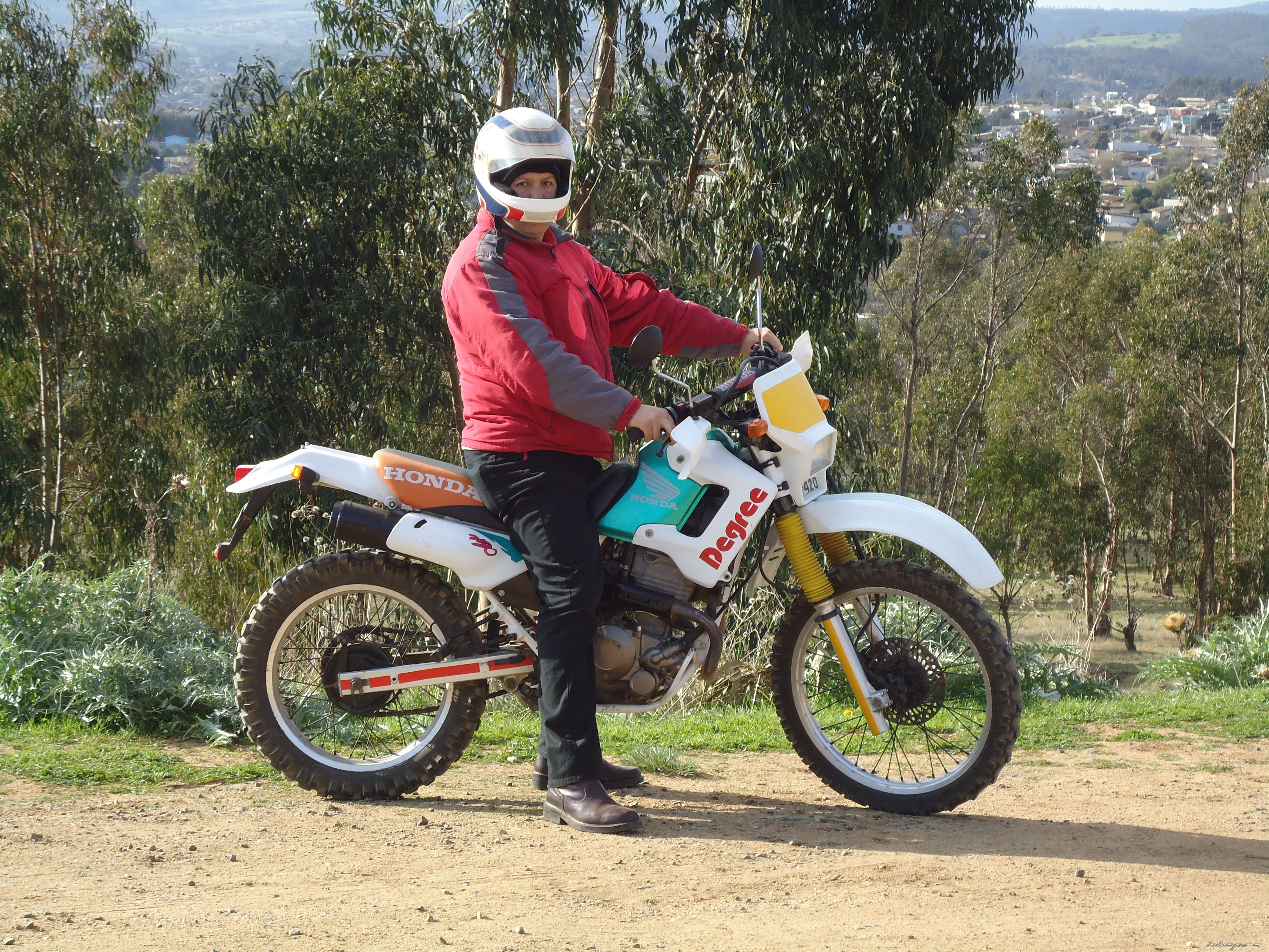 1993 HONDA XL 250 DEGREE | Picture 2257465 motorcycle photo