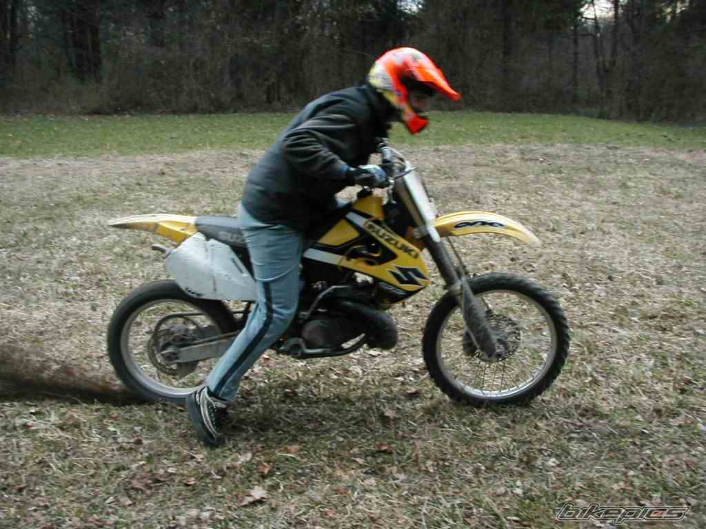 1999 SUZUKI RM 250 | Picture 22575 motorcycle photo