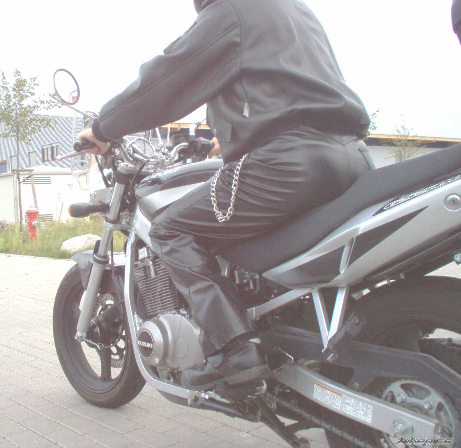 2003 SUZUKI GS 500 | Picture 225767 motorcycle photo