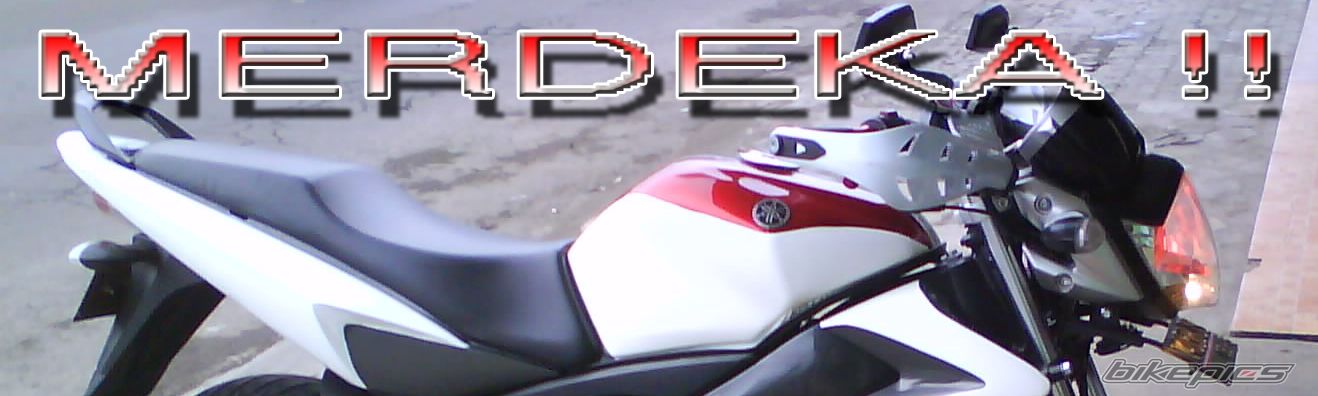 2010 YAMAHA FZ 150 | Picture 2257744 motorcycle photo