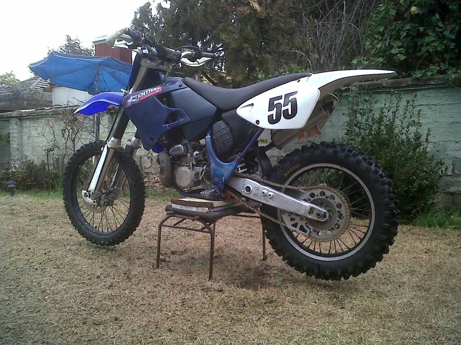 1998 YAMAHA WR 250 | Picture 2258024 motorcycle photo