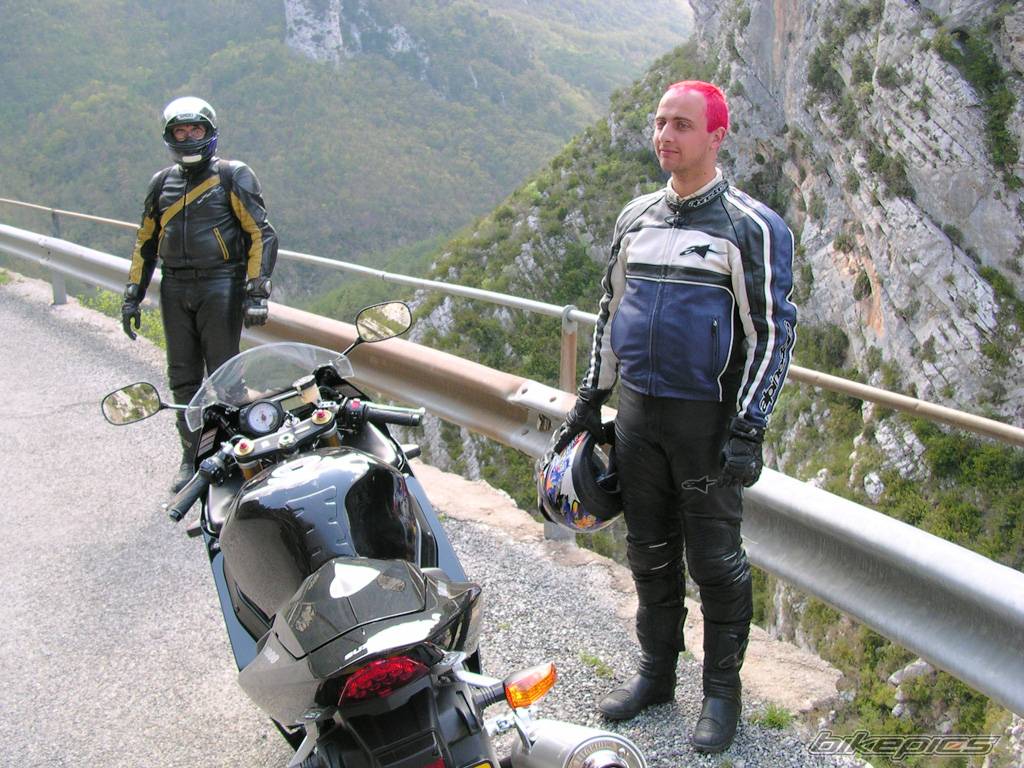 2004 SUZUKI GSX R 1000 | Picture 225833 motorcycle photo