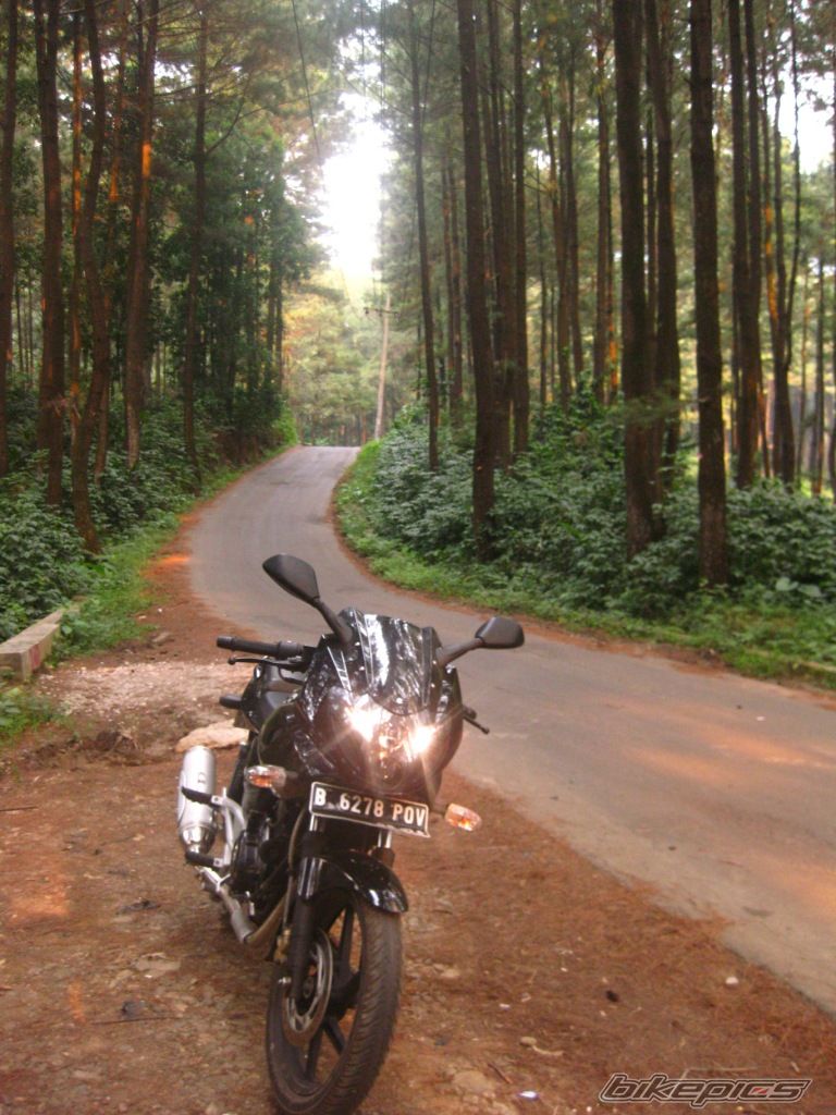 2011 BAJAJ PULSAR 220F | Picture 2258529 motorcycle photo
