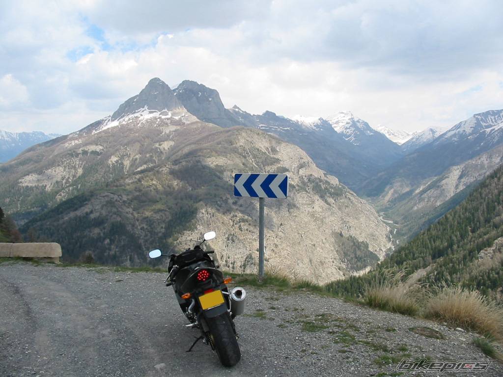 2004 SUZUKI GSX R 1000 | Picture 225881 motorcycle photo