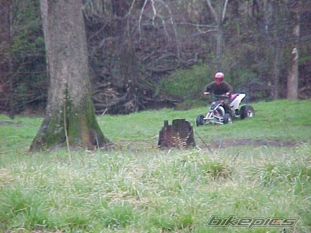 2000 YAMAHA BLASTER | Picture 22590 motorcycle photo