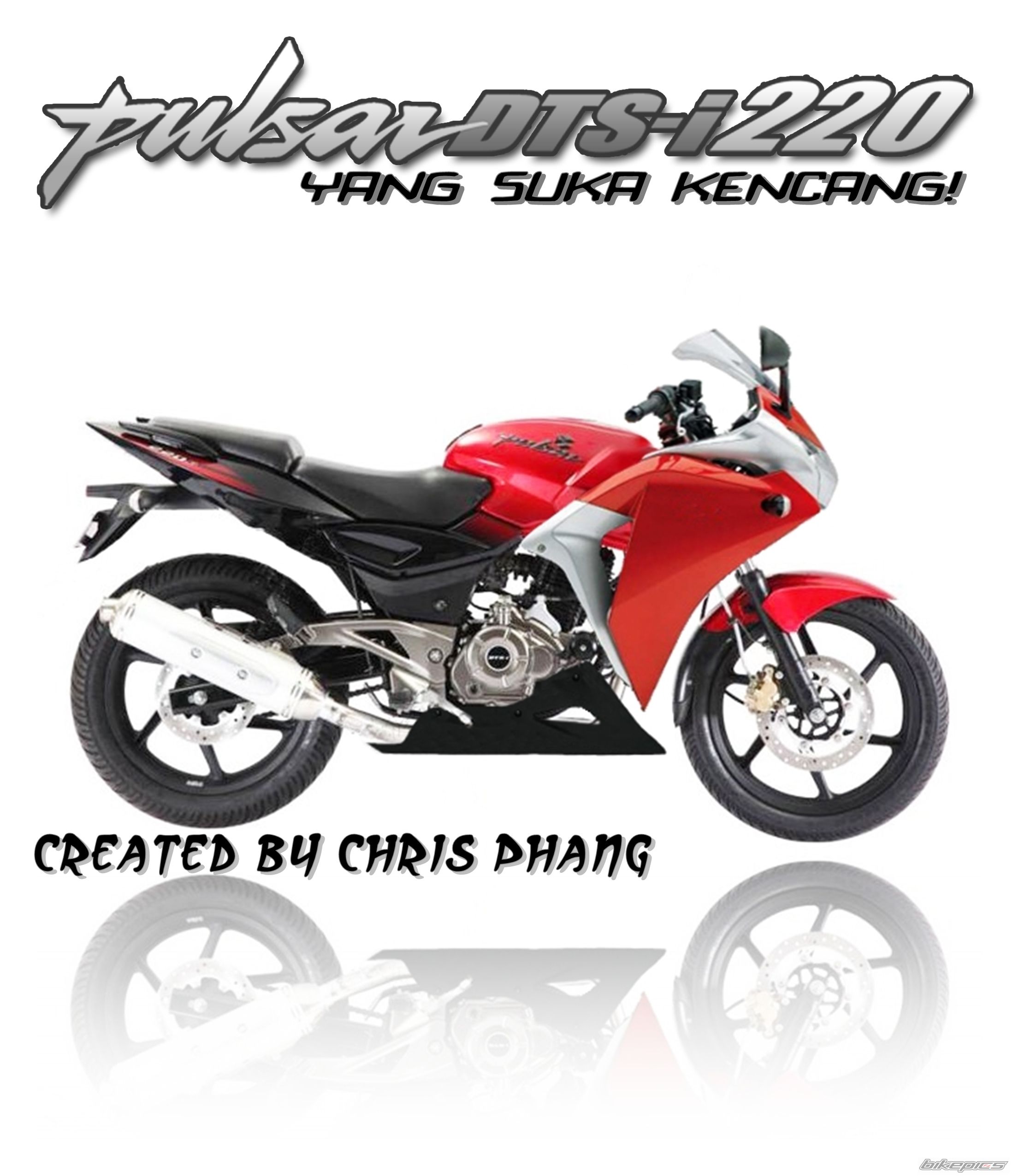 2011 BAJAJ PULSAR 220F | Picture 2259032 motorcycle photo