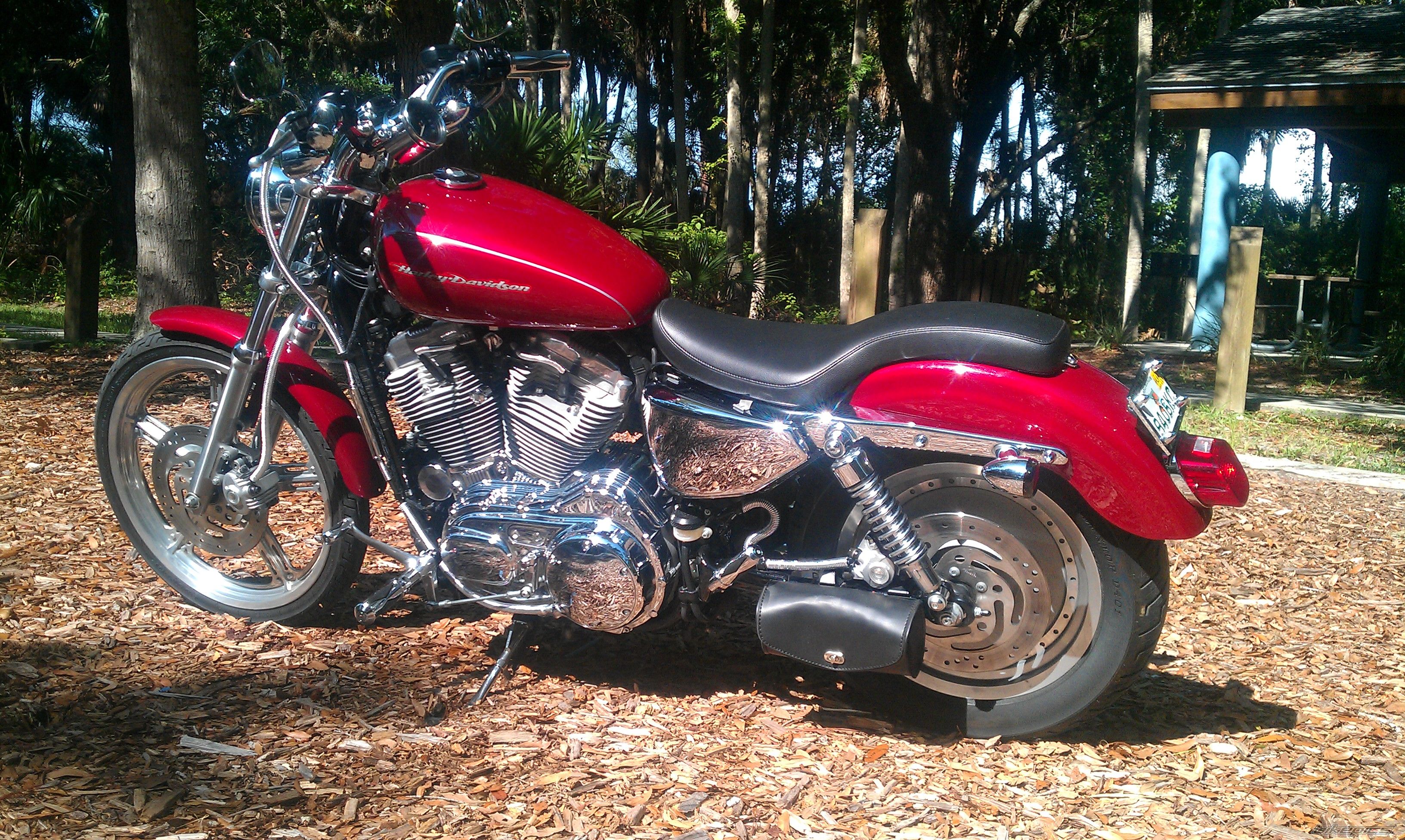 2006 HARLEY DAVIDSON XL 883 CUSTOM | Picture 2259325 motorcycle photo