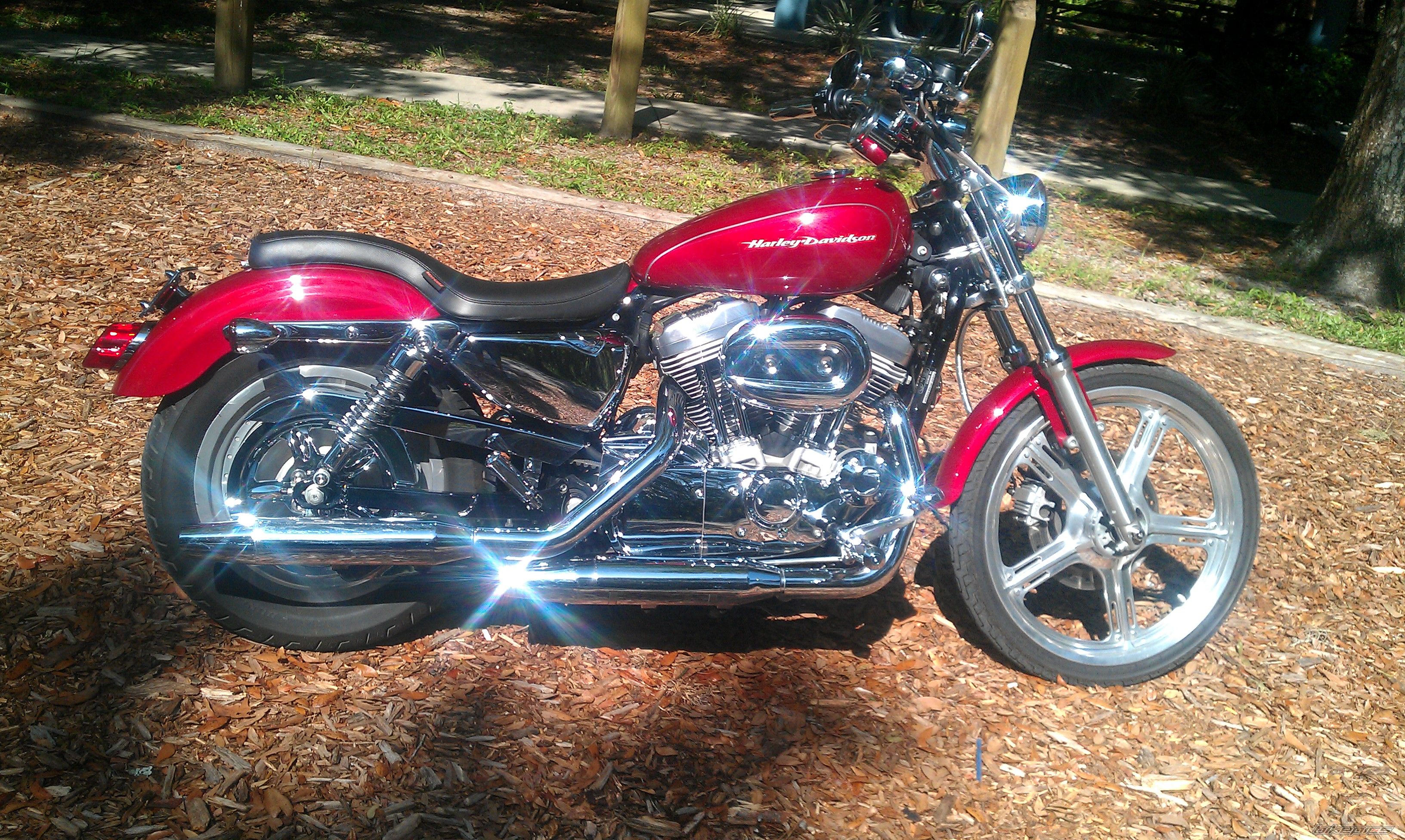 2006 HARLEY DAVIDSON XL 883 CUSTOM | Picture 2259326 motorcycle photo