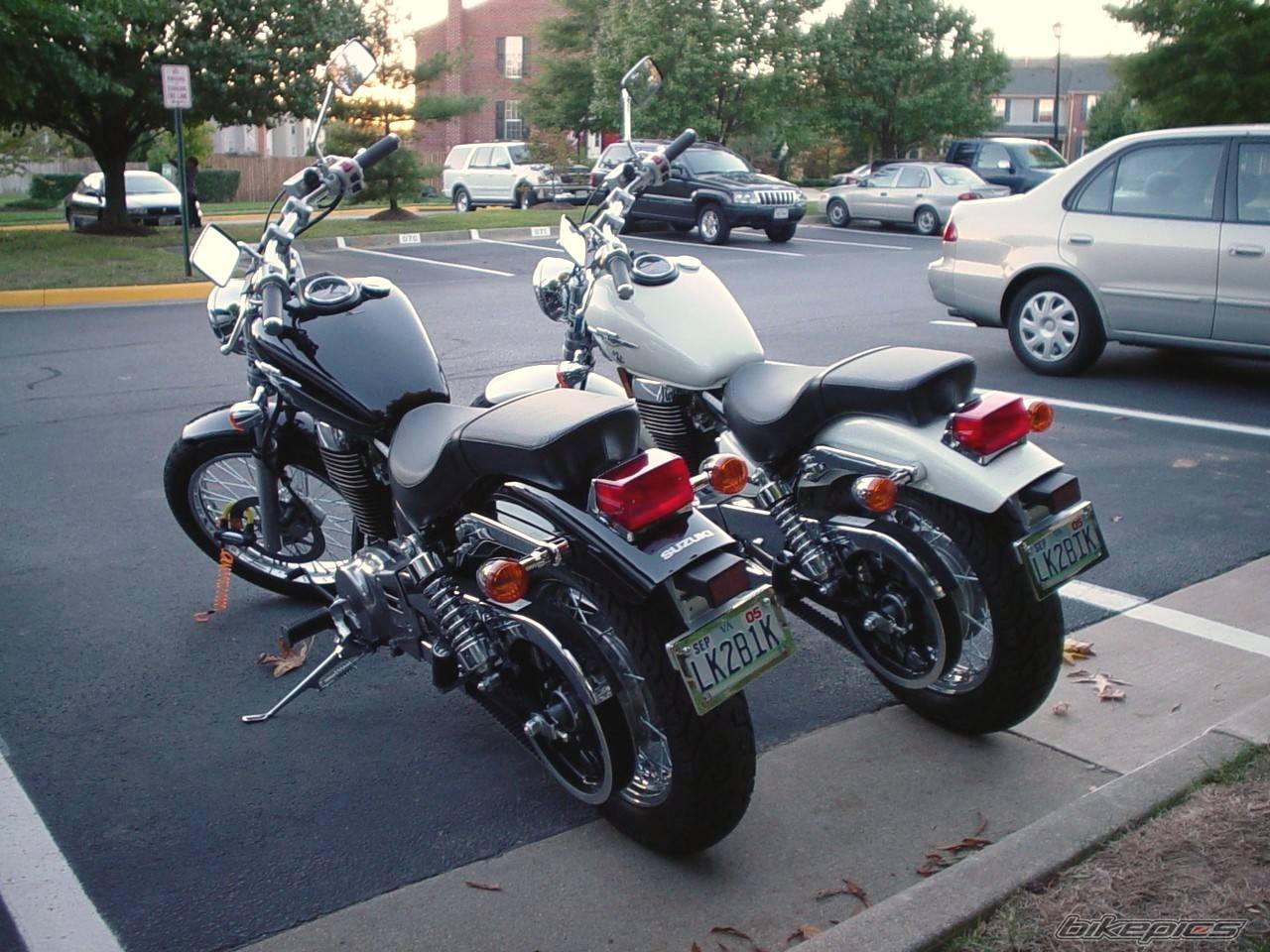 2005 SUZUKI SAVAGE | Picture 225938 motorcycle photo