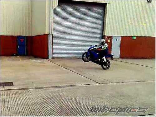 2008 YAMAHA YZF R125 | Picture 2259541 motorcycle photo
