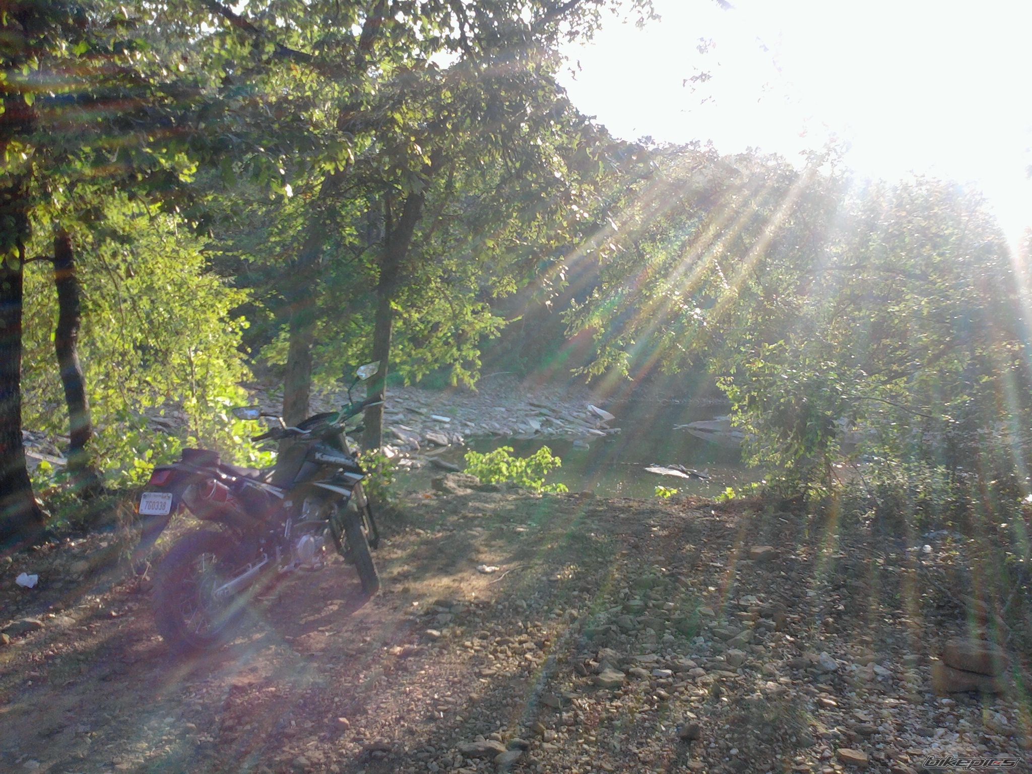 2009 KAWASAKI KLX250SF | Picture 2260504 motorcycle photo