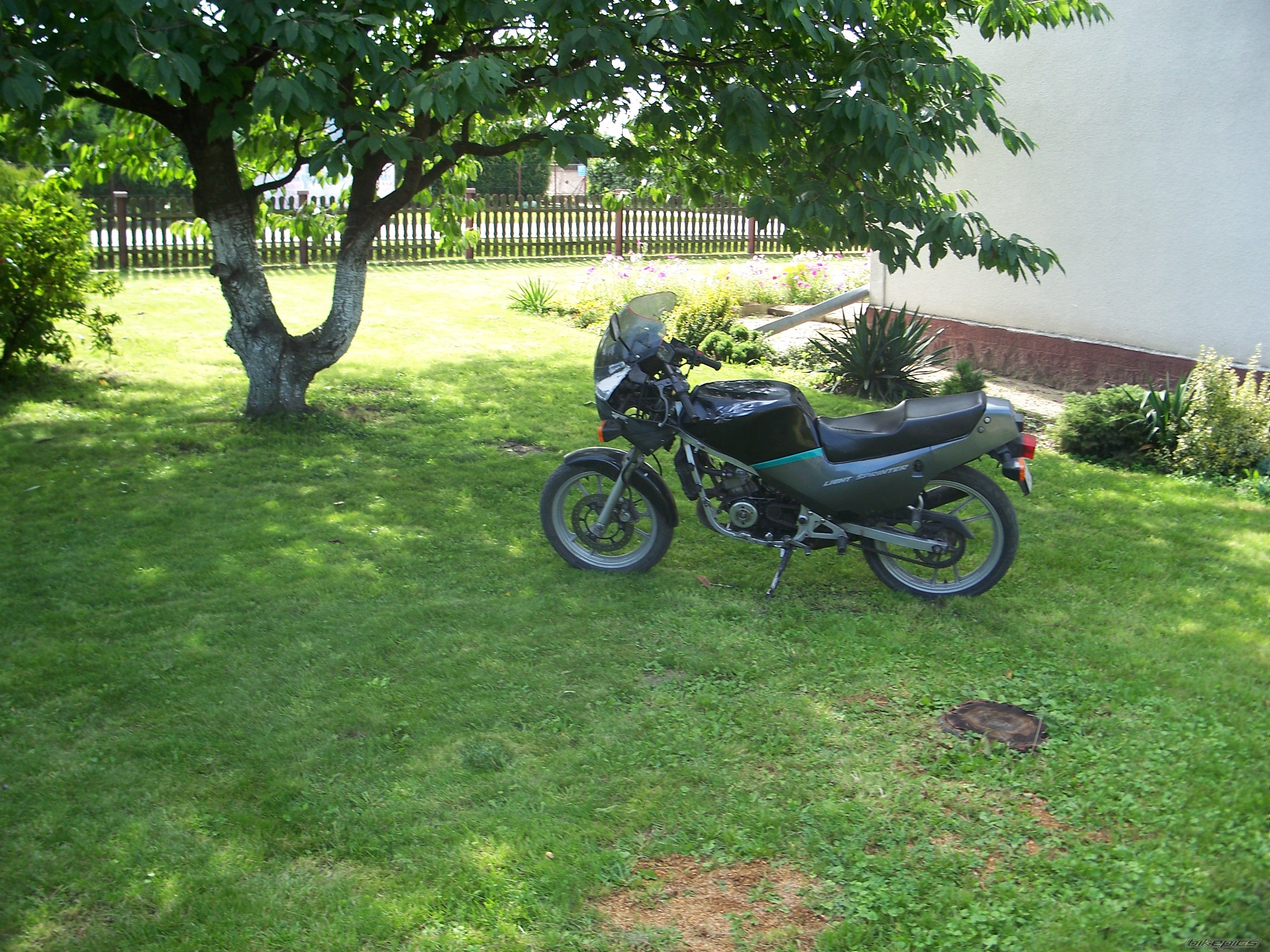1995 SUZUKI RG 80 | Picture 2261718 motorcycle photo