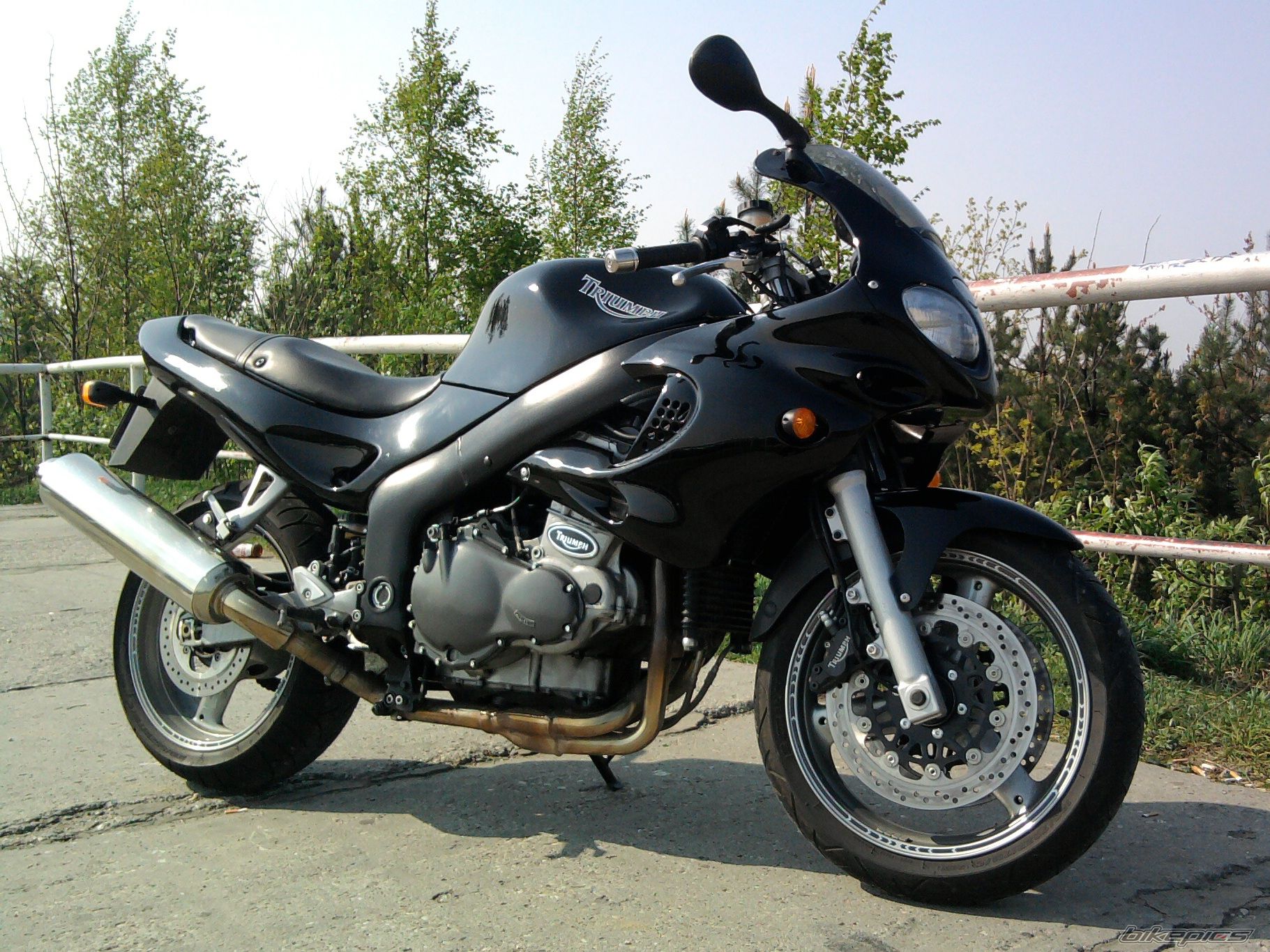 2001 TRIUMPH SPRINT RS | Picture 2261766 motorcycle photo