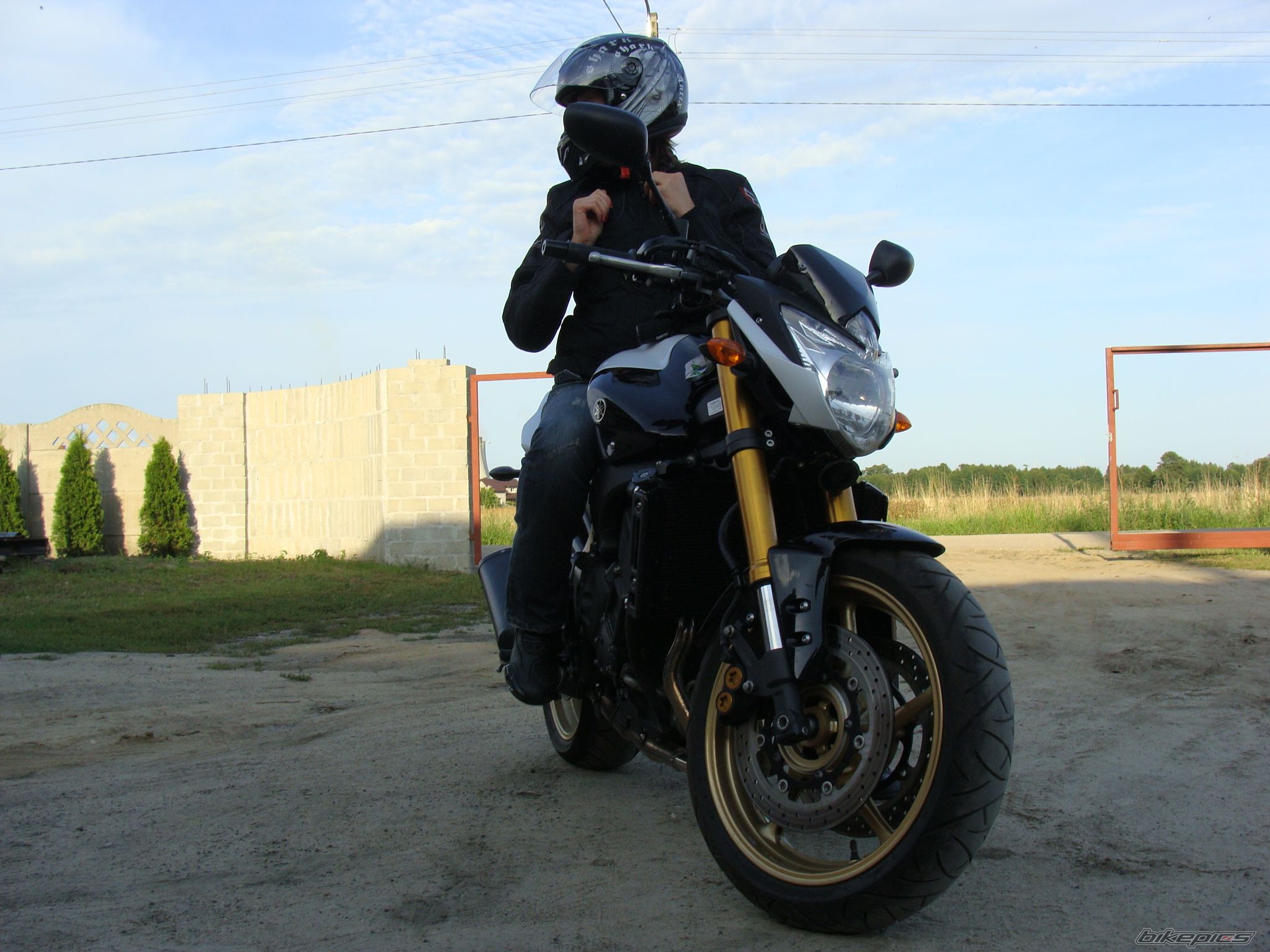 2010 YAMAHA FZ 8N | Picture 2262573 motorcycle photo