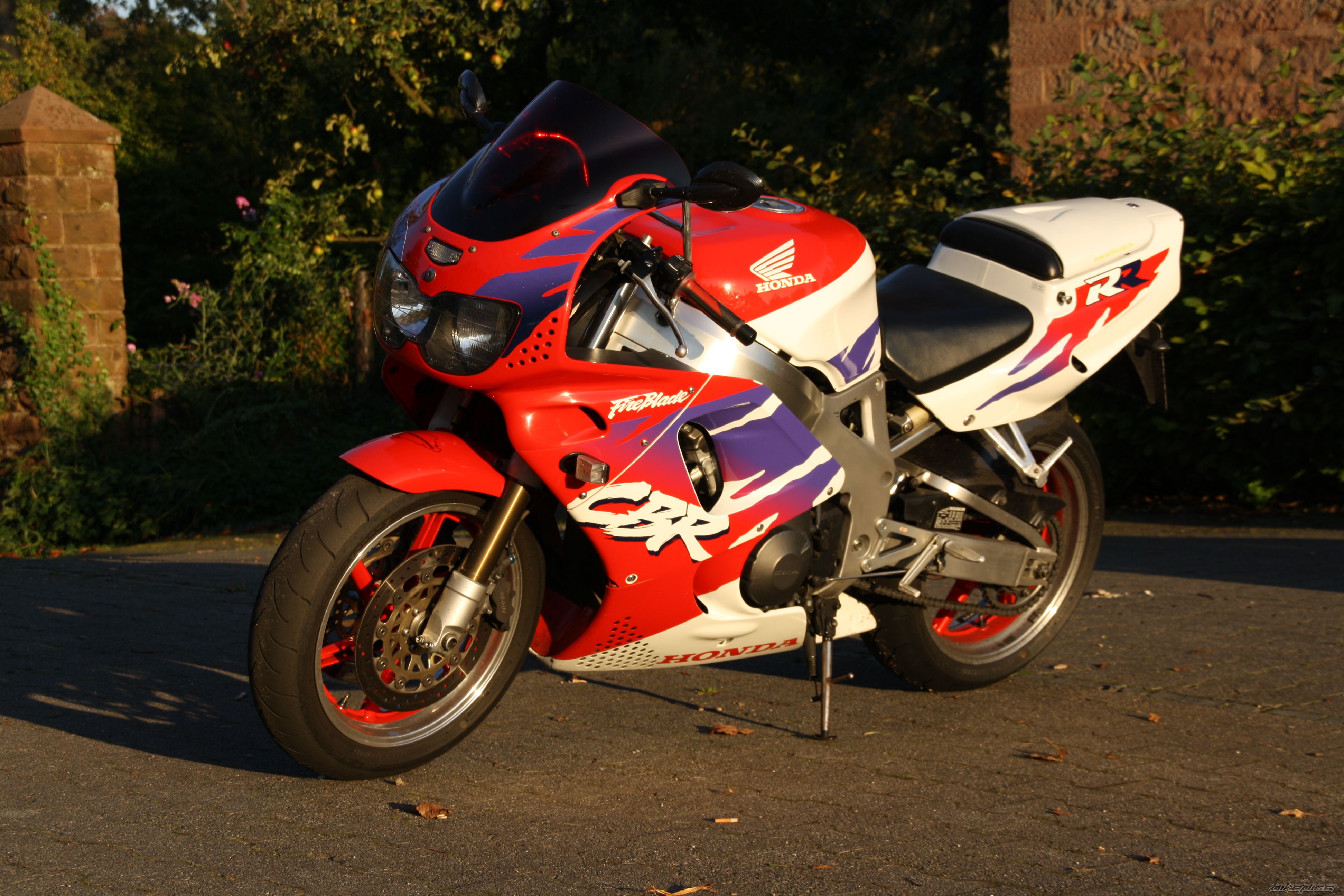 1995 HONDA CBR 900 | Picture 2262750 motorcycle photo