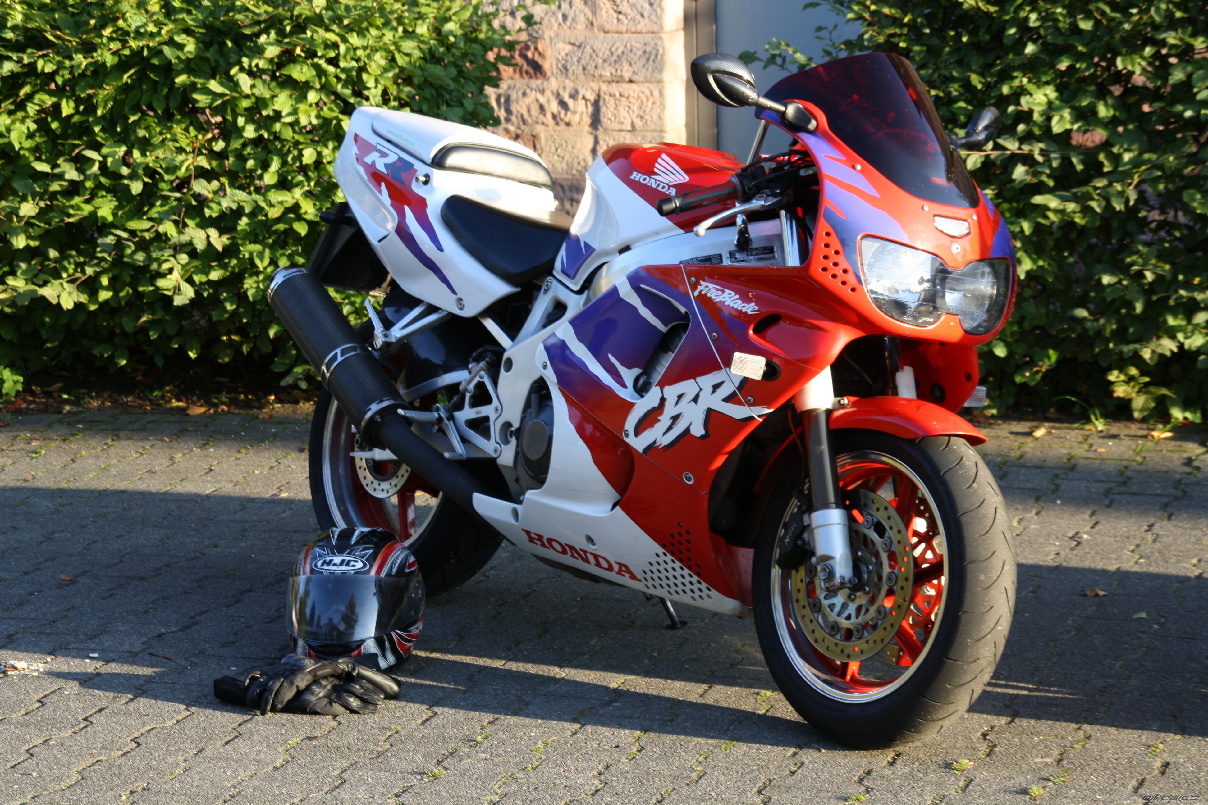 1995 HONDA CBR 900 | Picture 2262751 motorcycle photo