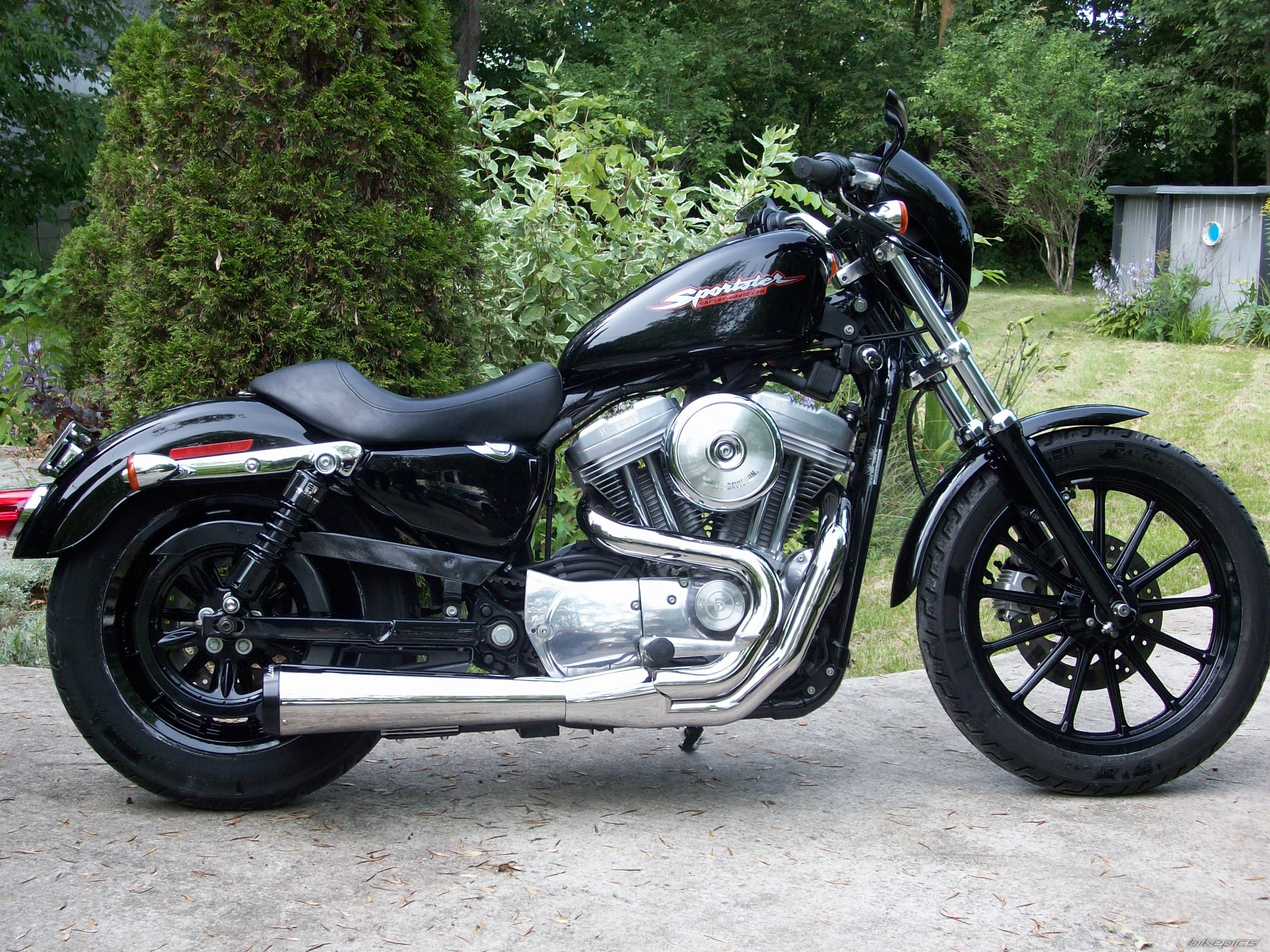 2004 HARLEY DAVIDSON XL 883 SPORTSTER | Picture 2262887 motorcycle photo