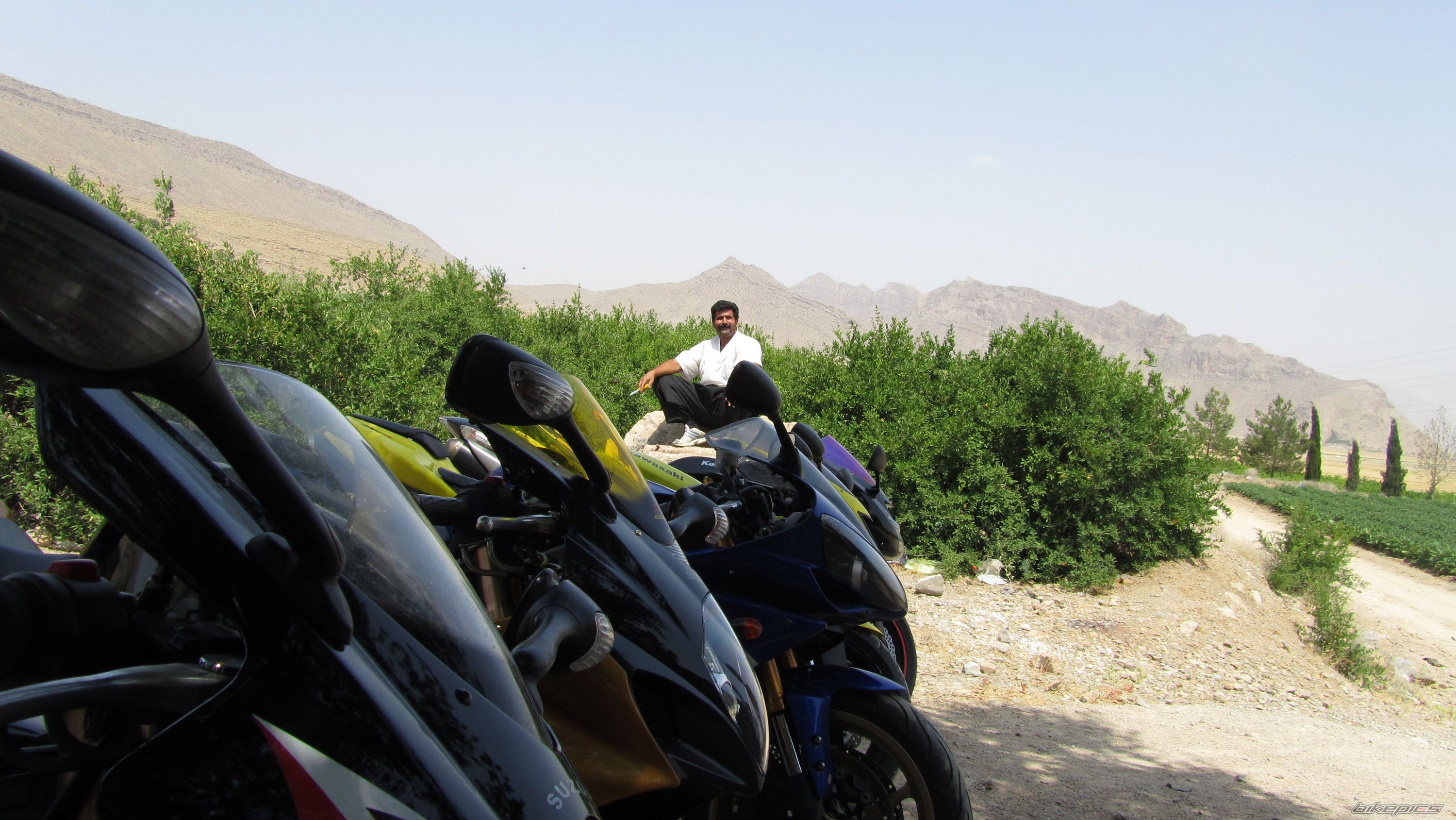 2008 YAMAHA YZF R1 | Picture 2262999 motorcycle photo