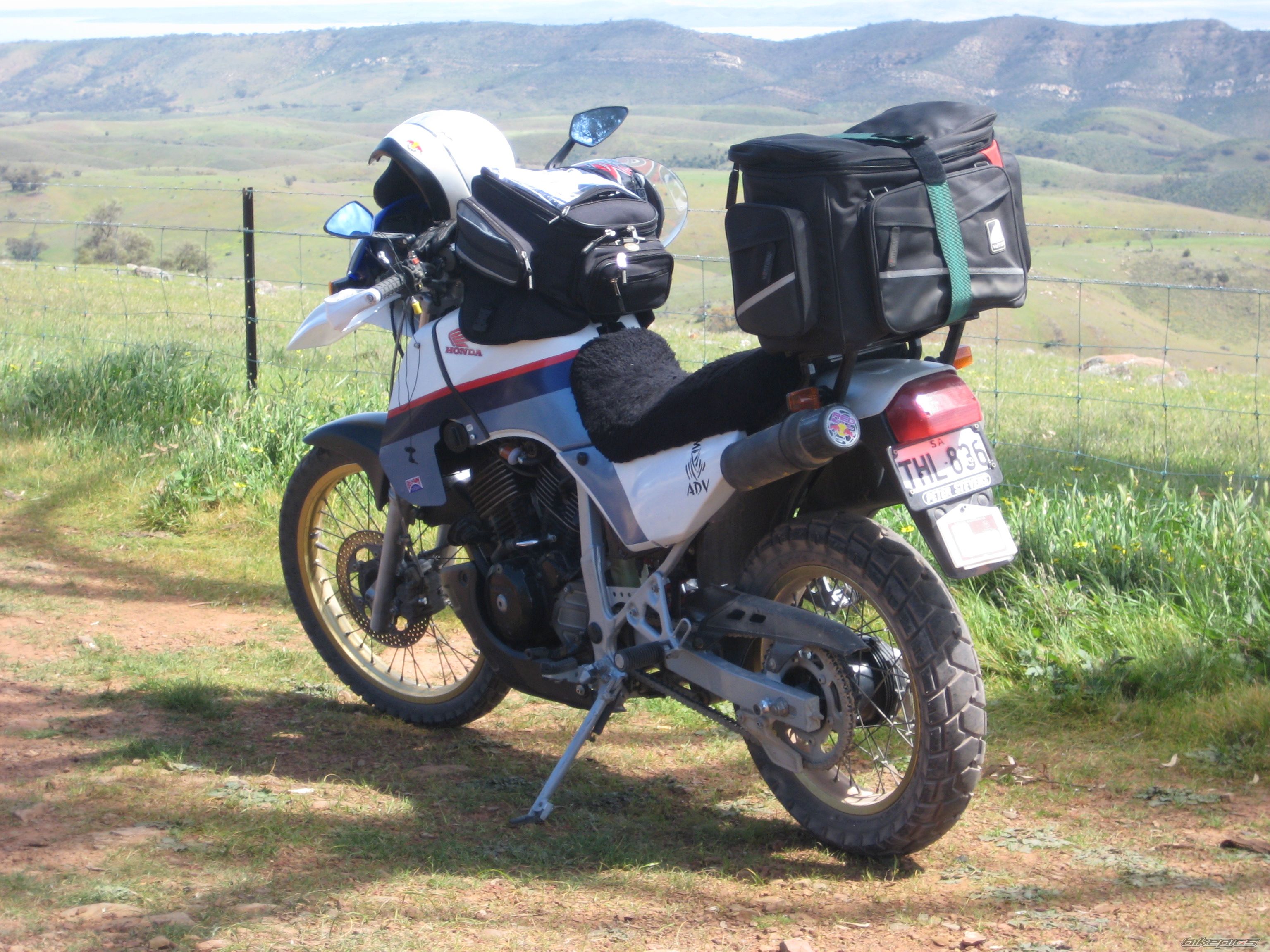 1987 HONDA XL 600V TRANSALP | Picture 2263221 motorcycle photo