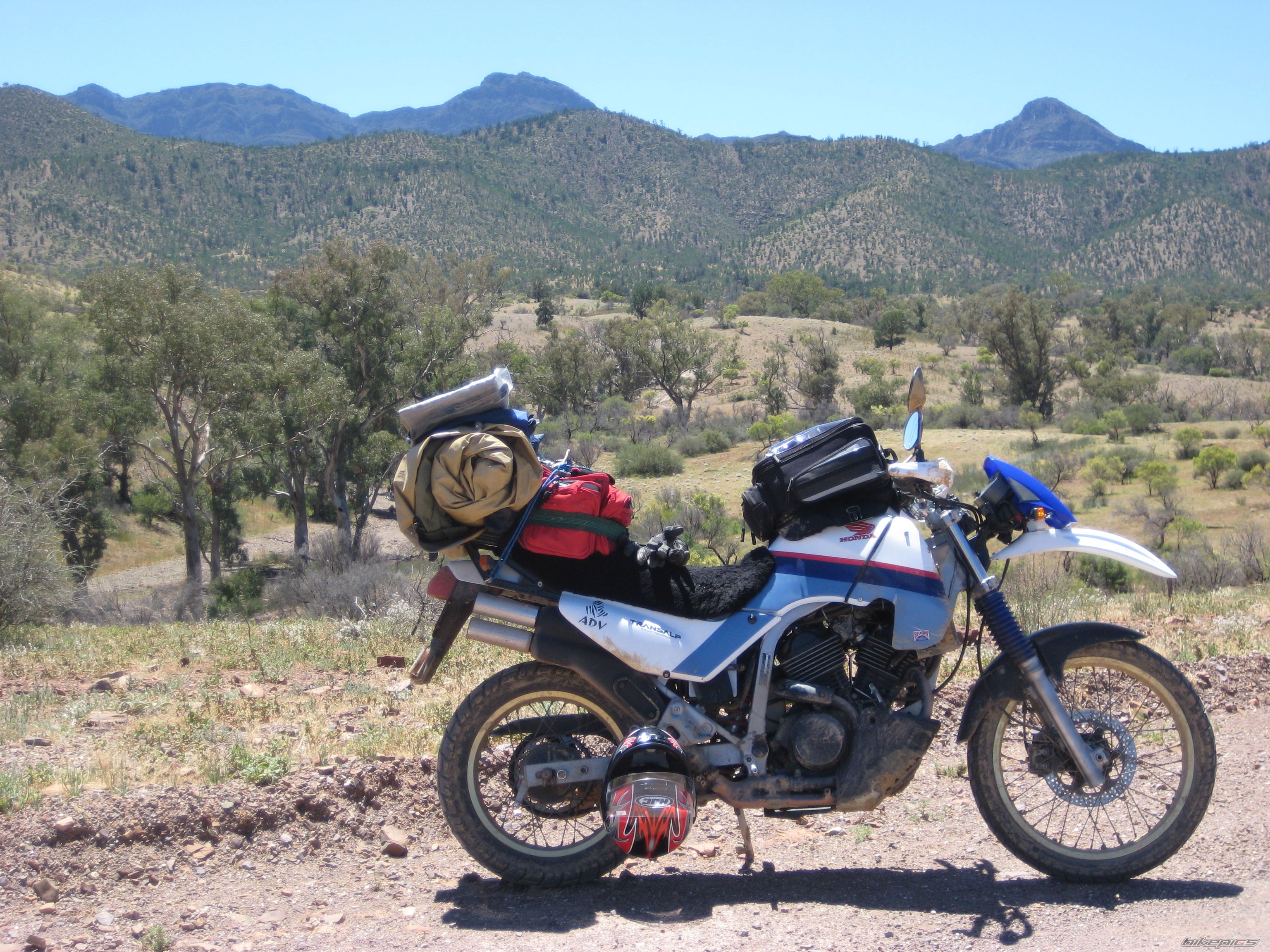 1987 HONDA XL 600V TRANSALP | Picture 2263226 motorcycle photo