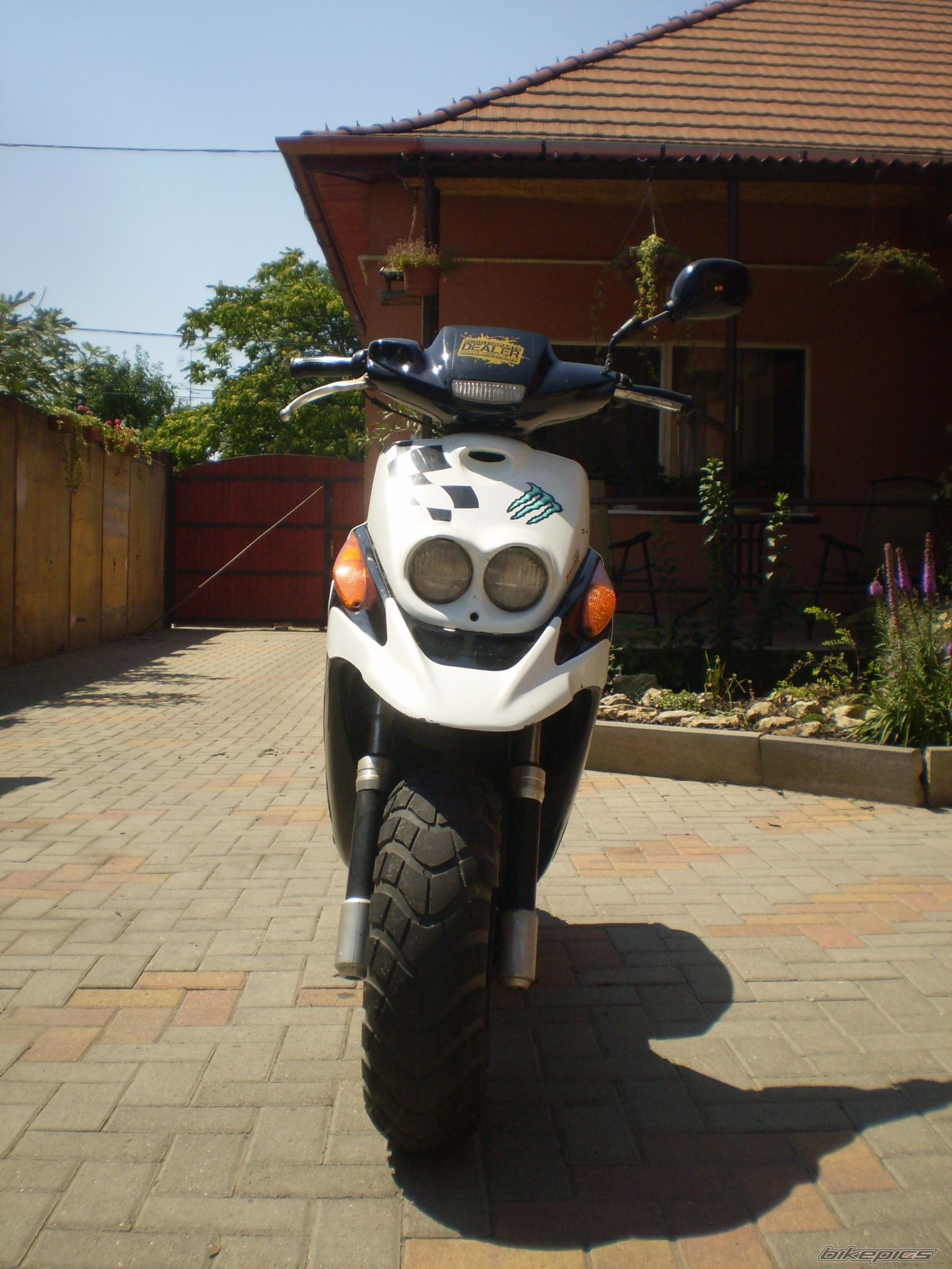 2003 YAMAHA BWS 50 | Picture 2263743 motorcycle photo
