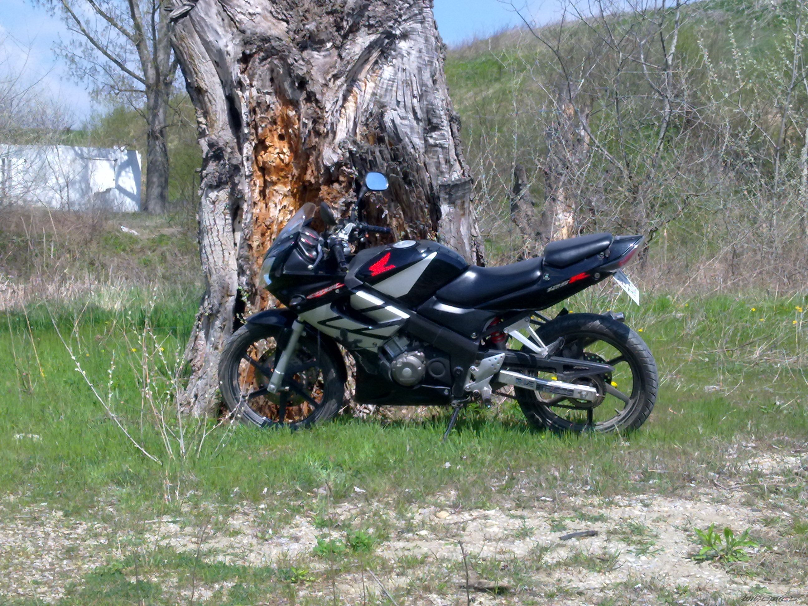 2006 HONDA CBR 125 | Picture 2264007 motorcycle photo