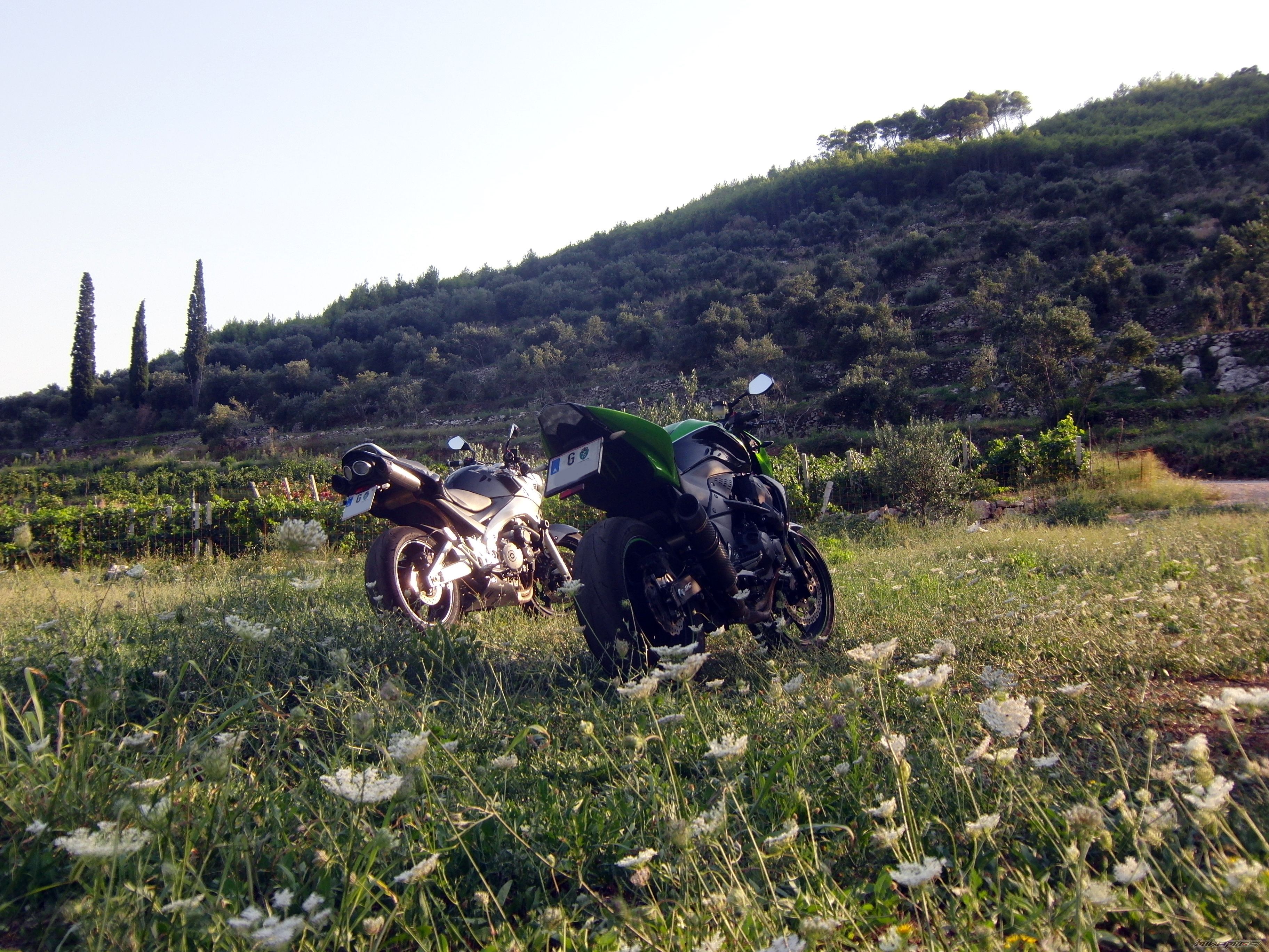 2006 SUZUKI GSR 600 | Picture 2264063 motorcycle photo
