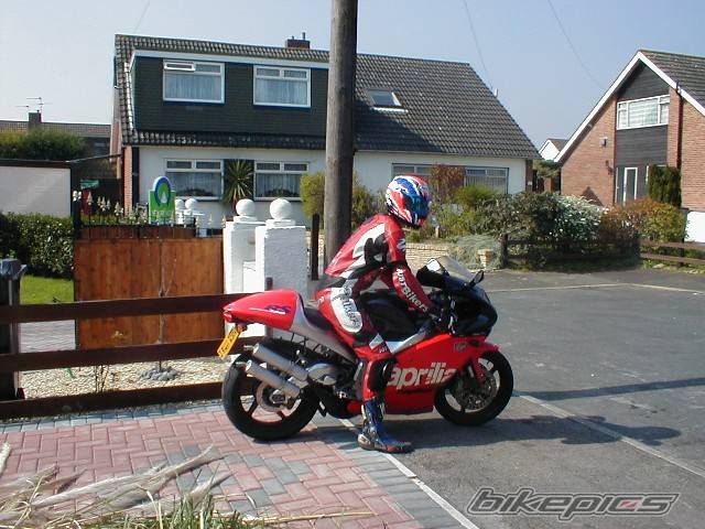 2001 APRILIA RS 250 | Picture 22642 motorcycle photo