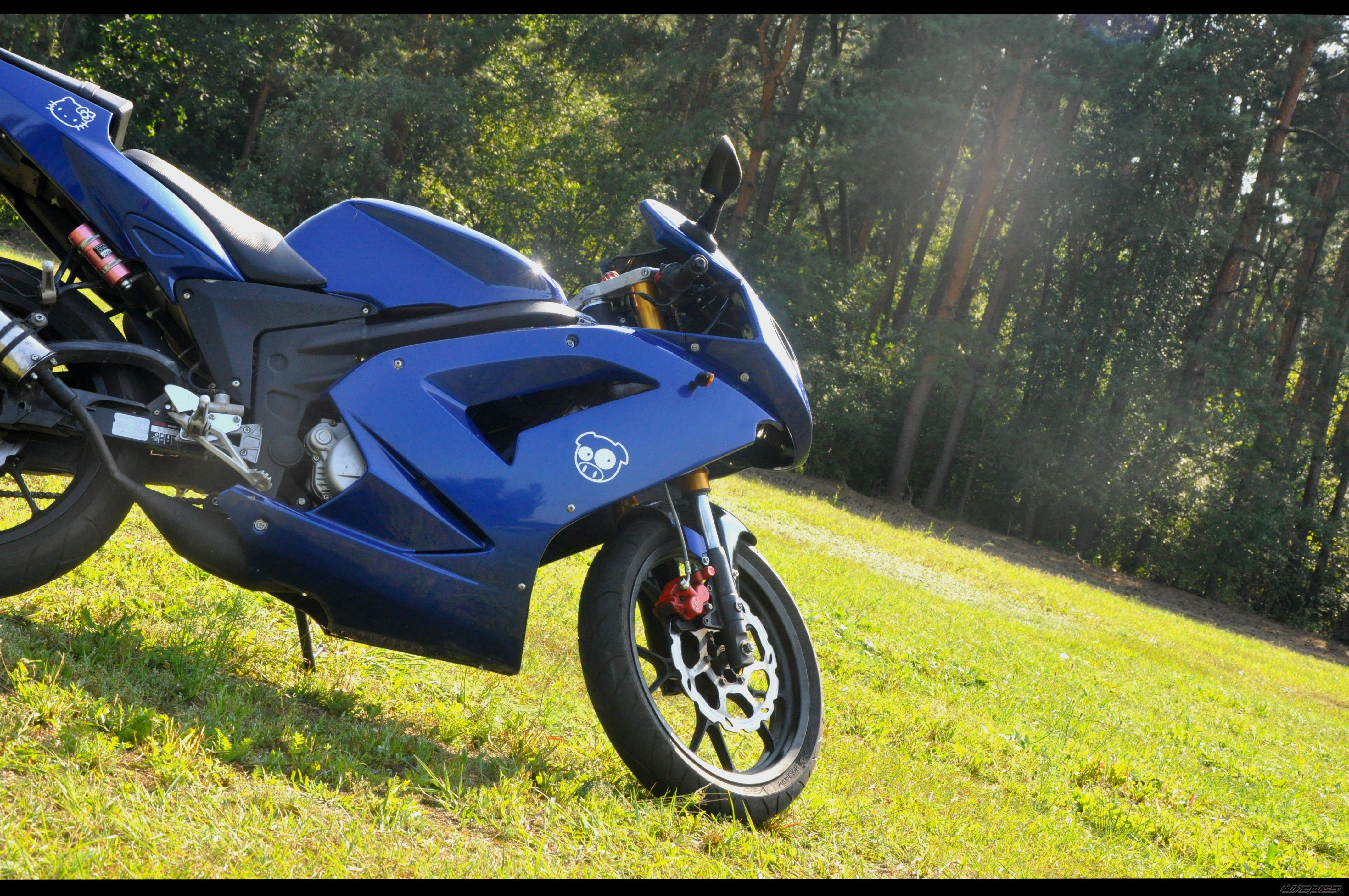 2007 RIEJU RS2 MATRIX | Picture 2264252 motorcycle photo