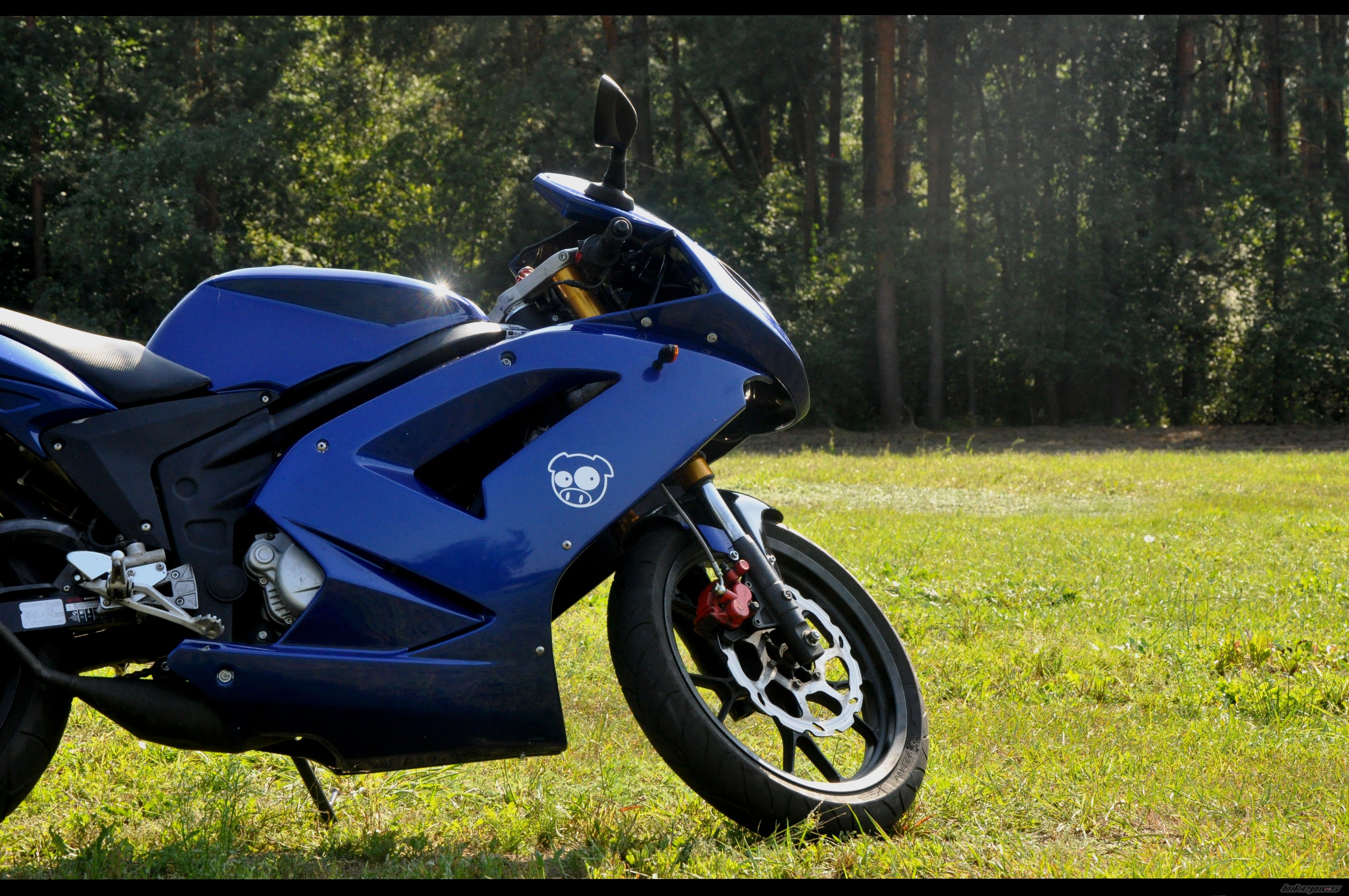 2007 RIEJU RS2 MATRIX | Picture 2264256 motorcycle photo