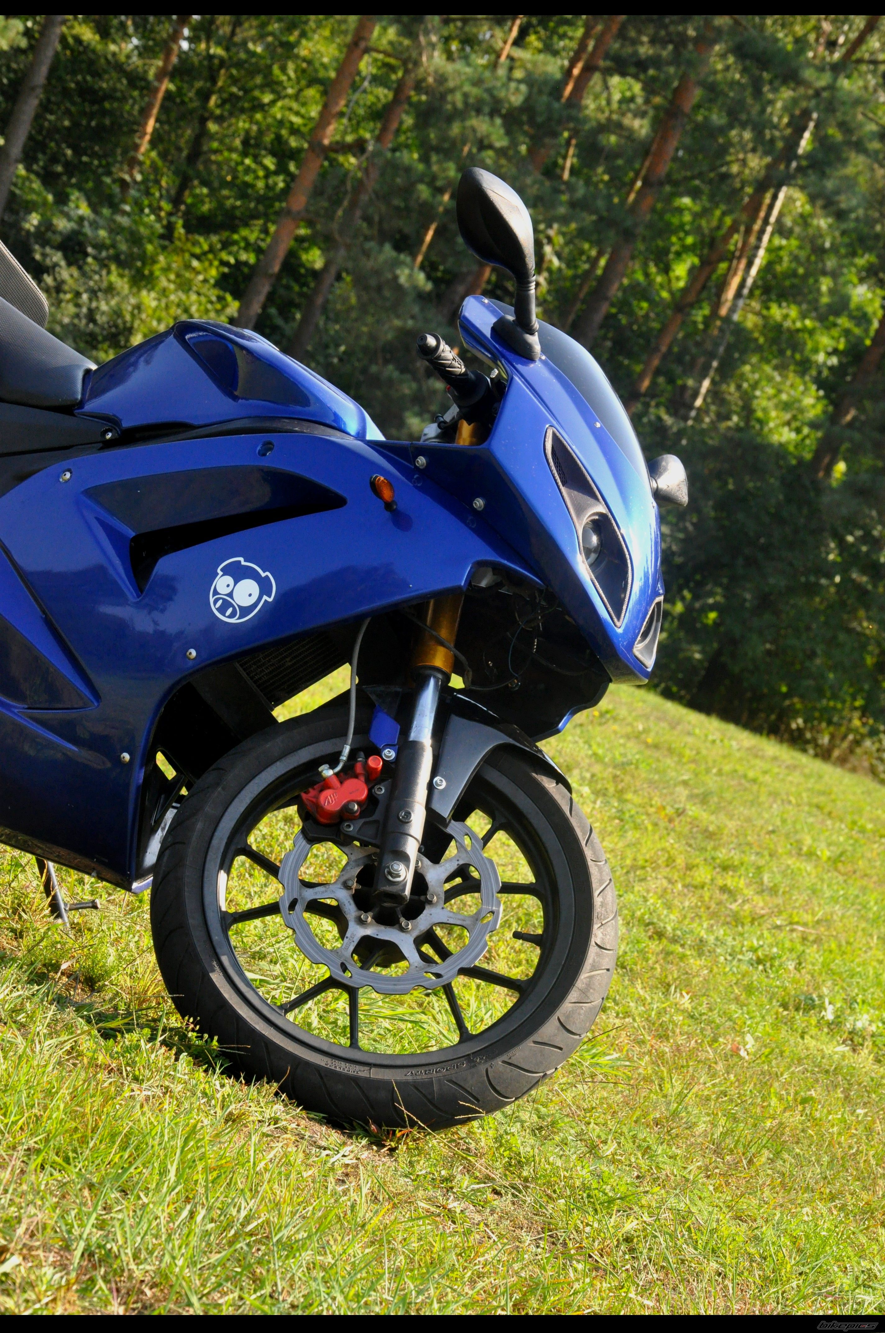 2007 RIEJU RS2 MATRIX | Picture 2264264 motorcycle photo
