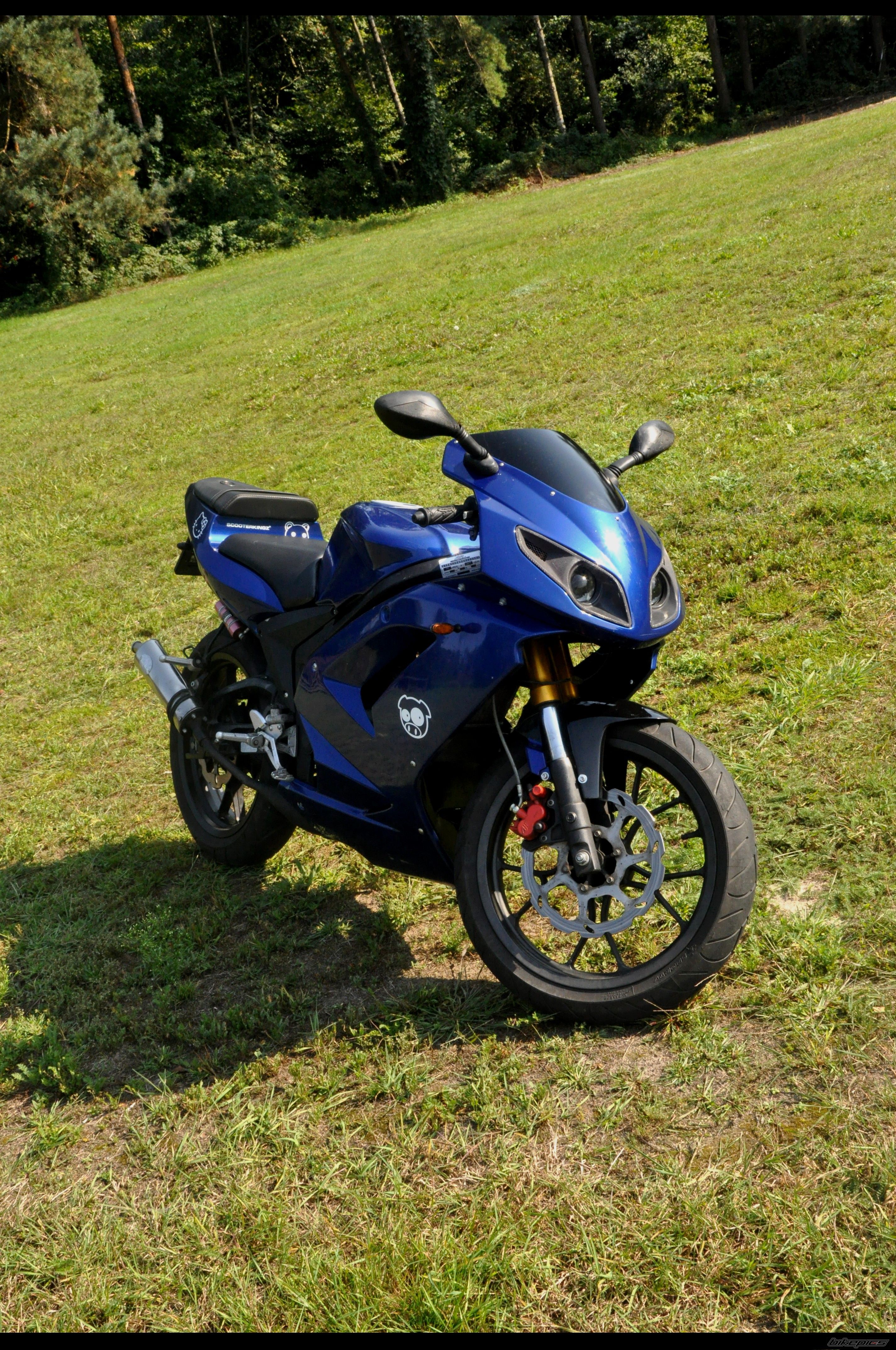 2007 RIEJU RS2 MATRIX | Picture 2264271 motorcycle photo