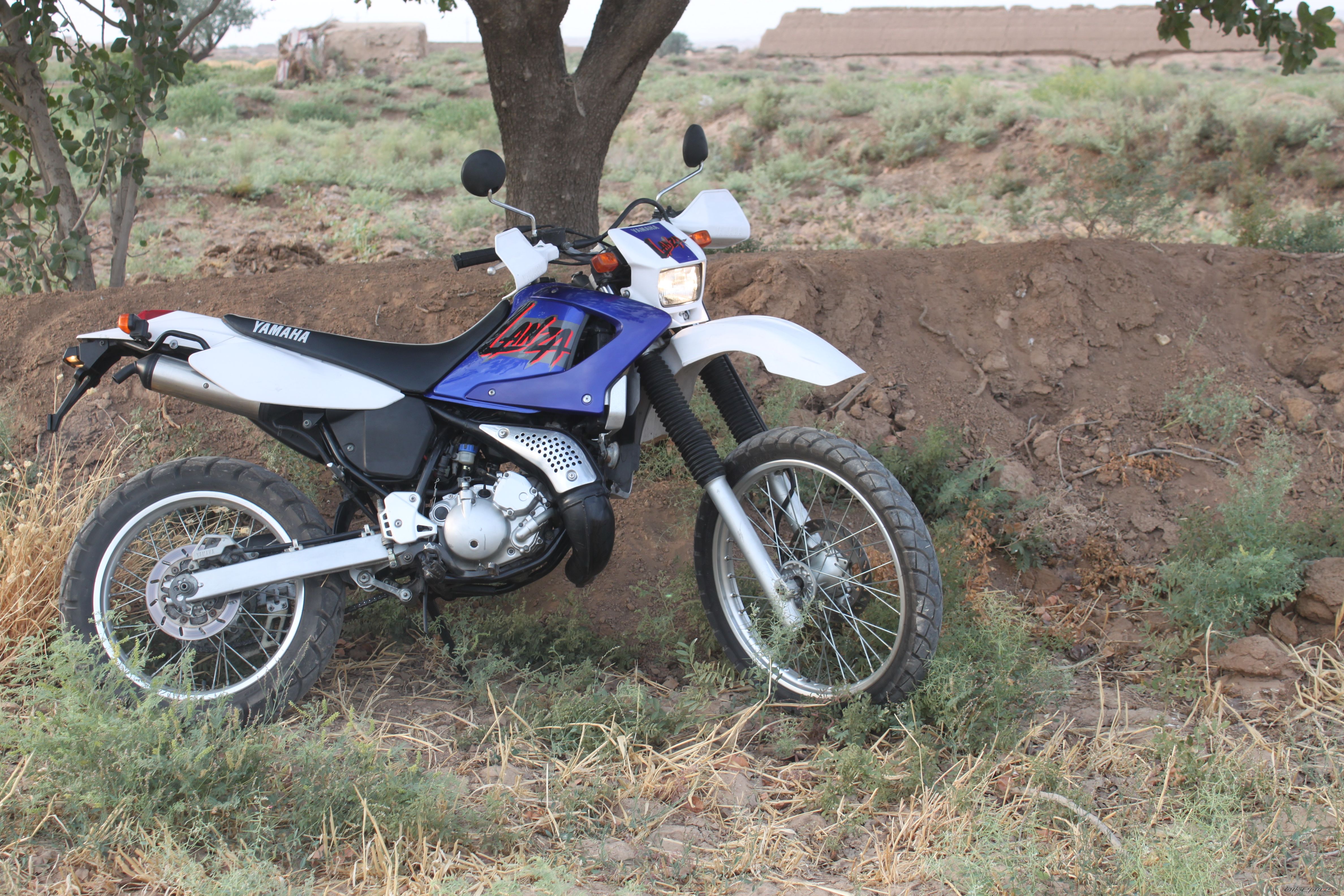 2002 YAMAHA DT 230 | Picture 2265214 motorcycle photo