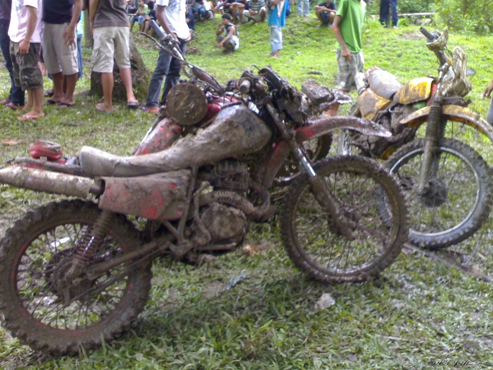 2011 HONDA XL 185 | Picture 2265338 motorcycle photo