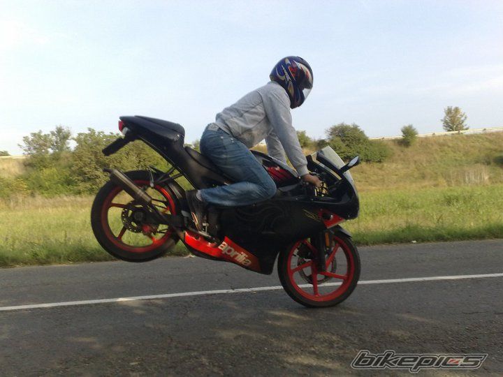 2005 APRILIA RS 50 | Picture 2265610 motorcycle photo