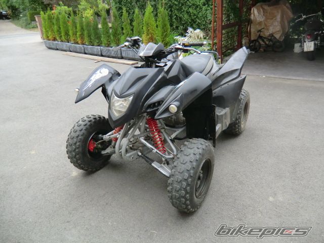 2008 ADLY MOTO 2010 | Picture 2266546 motorcycle photo