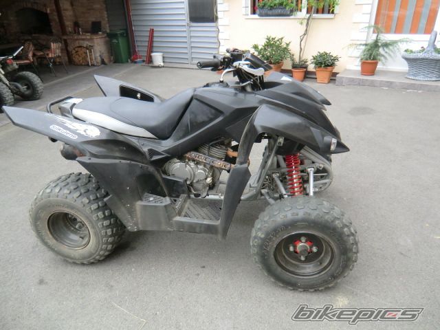 2008 ADLY MOTO 2010 | Picture 2266547 motorcycle photo