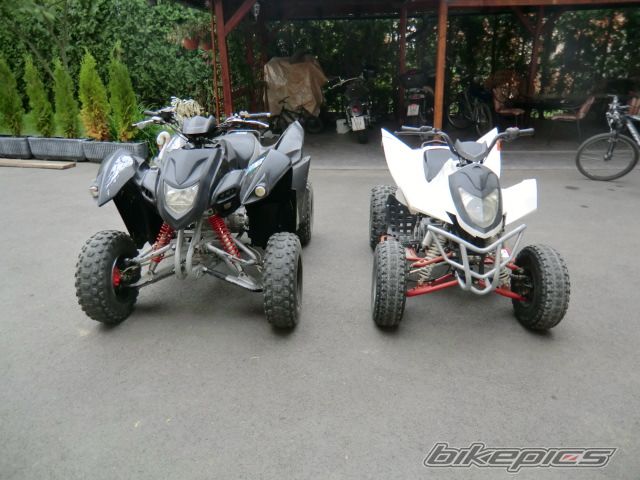 2008 ADLY MOTO 2010 | Picture 2266552 motorcycle photo
