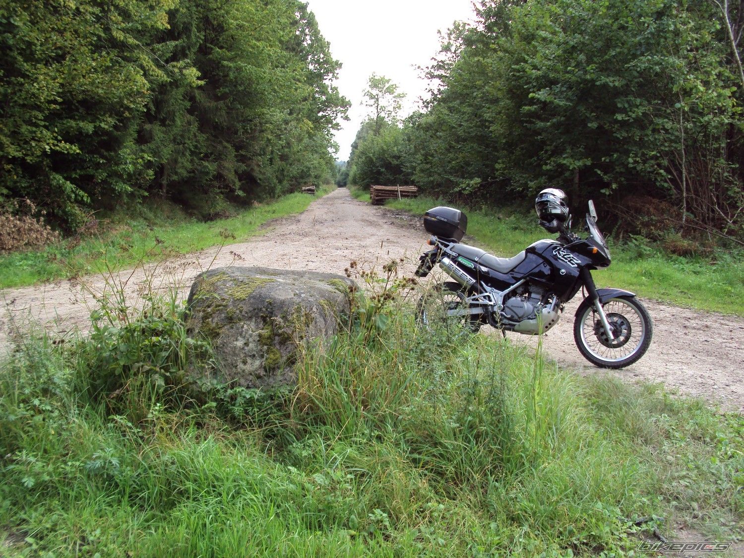 1992 KAWASAKI KLE 500 | Picture 2268115 motorcycle photo