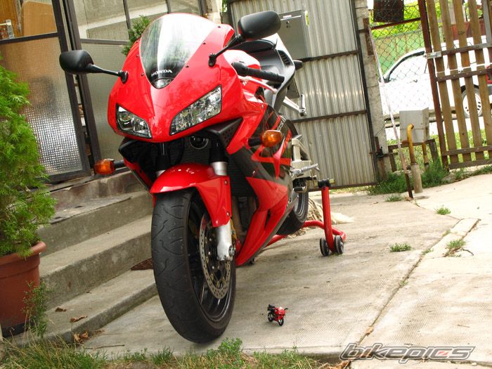 2004 HONDA CBR 600 RR | Picture 2269072 motorcycle photo