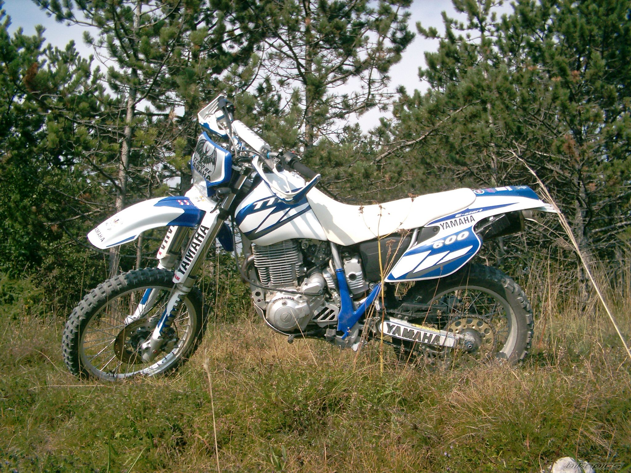 2004 YAMAHA TTR 600 | Picture 2269728 motorcycle photo