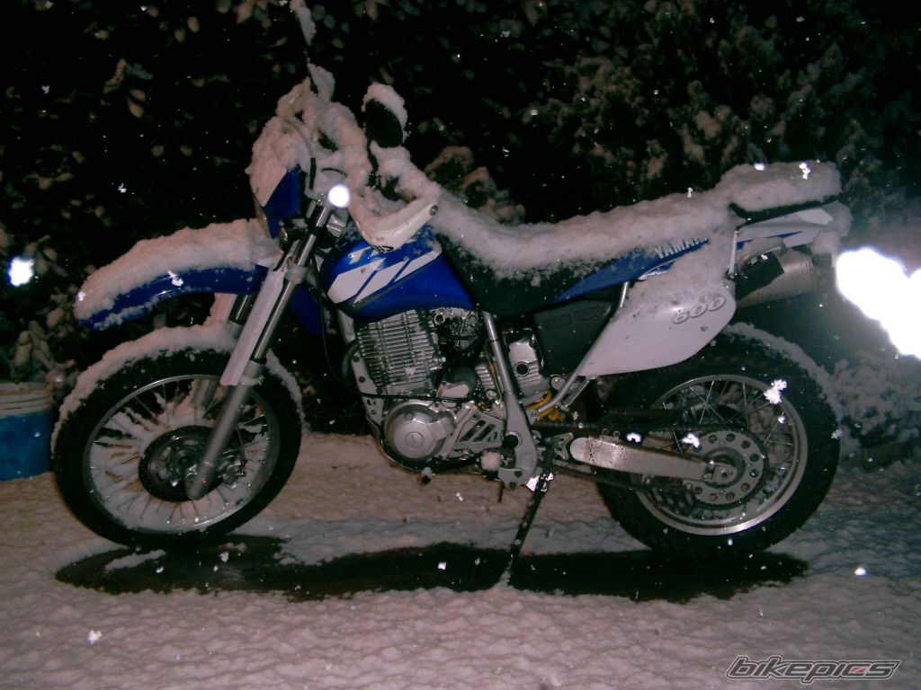 2004 YAMAHA TTR 600 | Picture 2269731 motorcycle photo